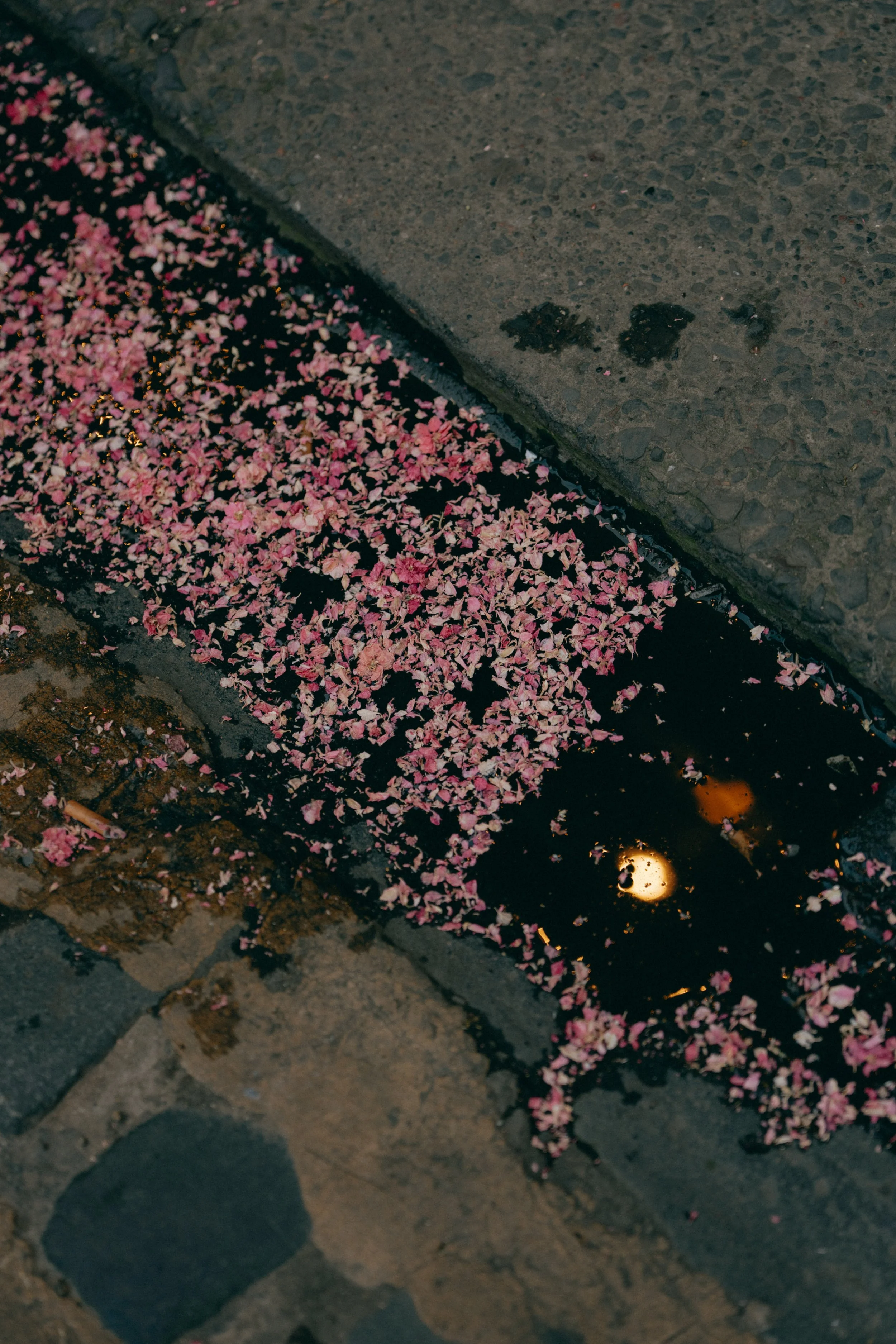 Cafe St Honore Wedding Reception Edinburgh 10.jpg