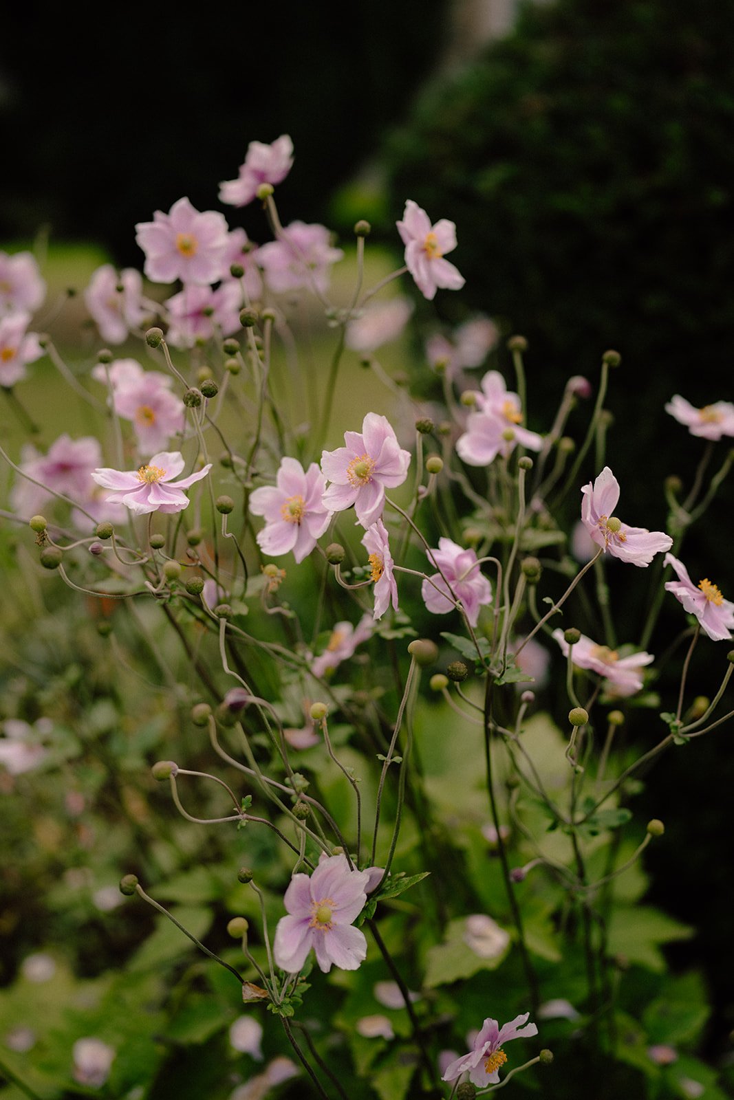 Gilmerton House Wedding First Look 9.jpg