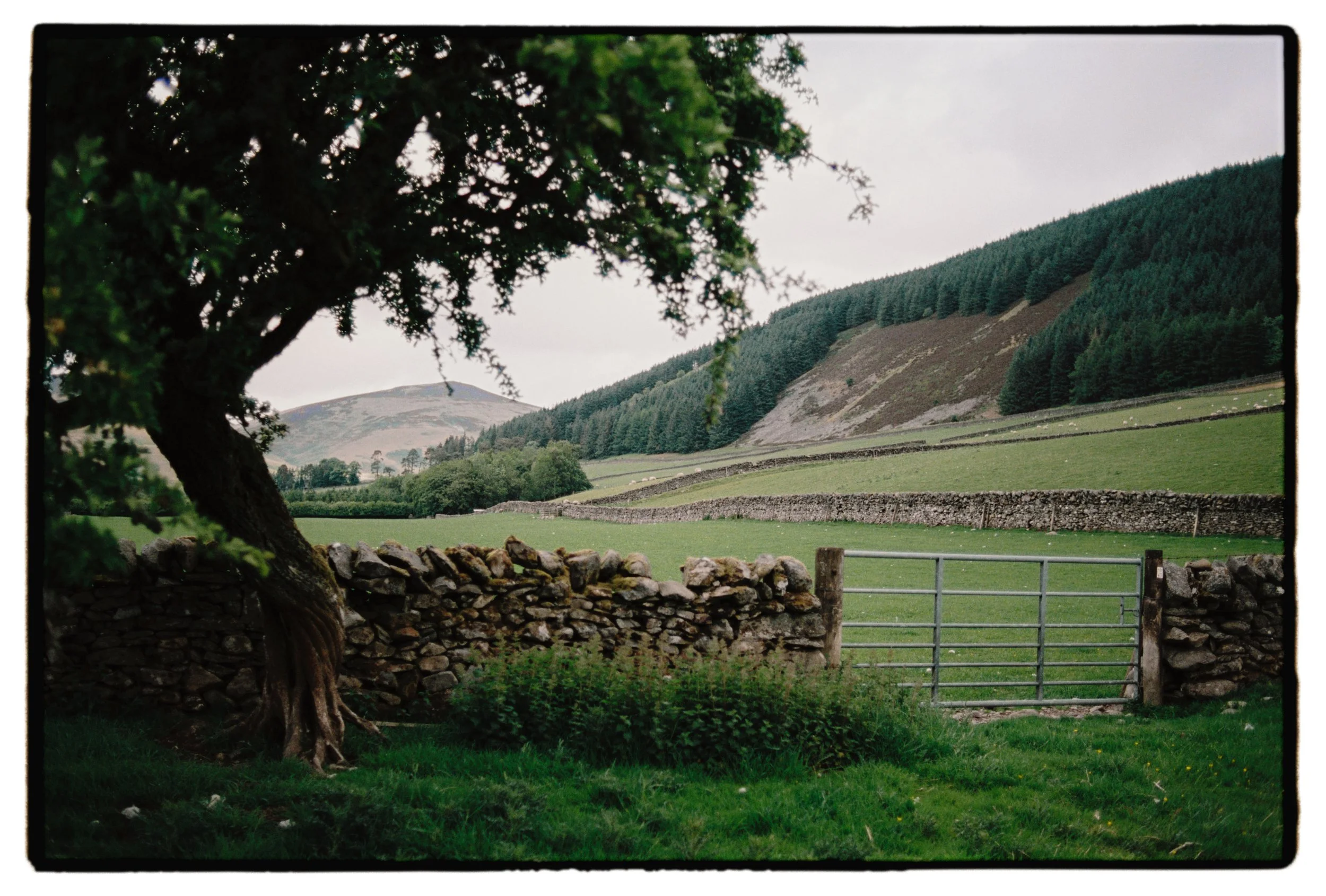 Scottish Borders Garden Wedding Photography 1.jpg