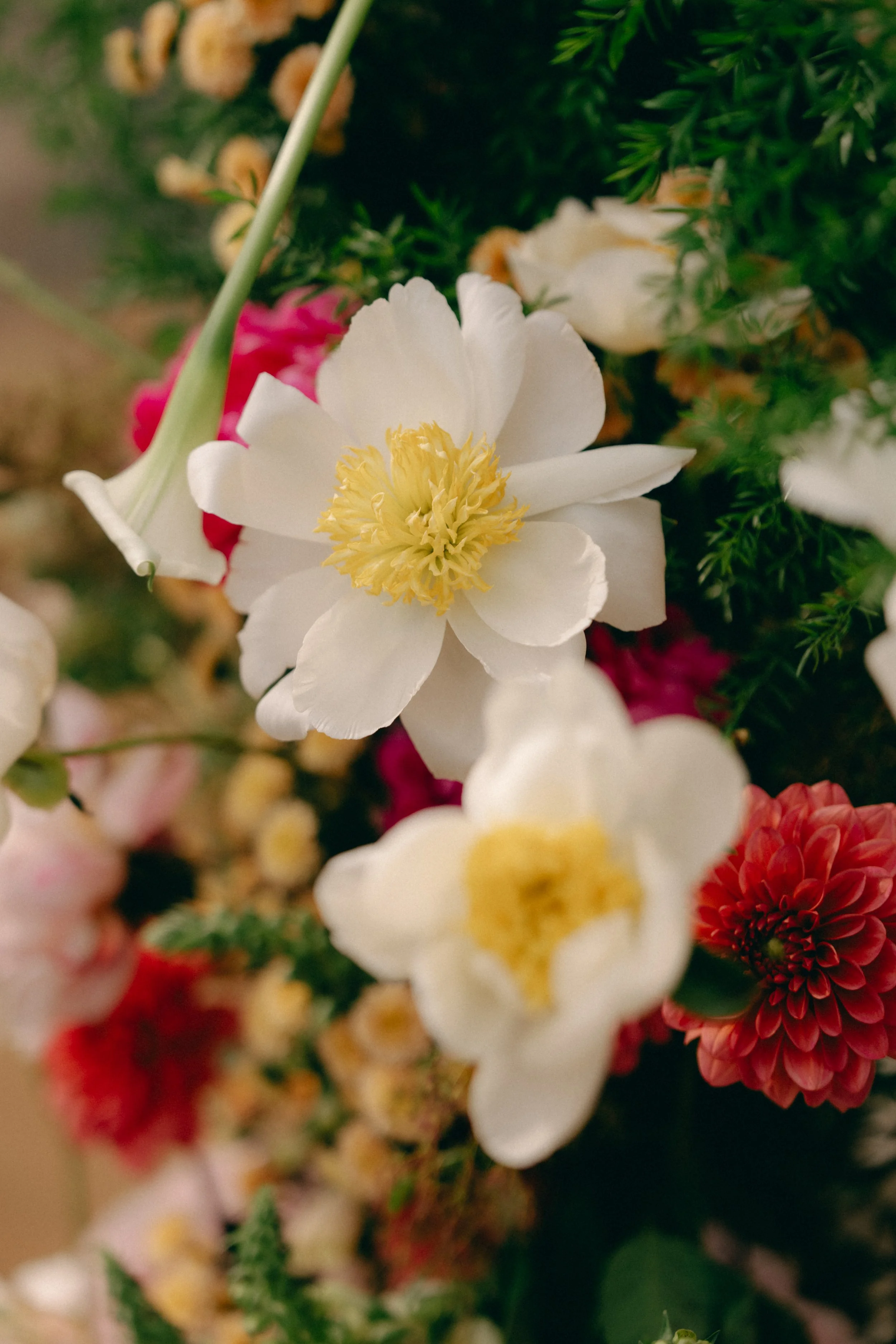 Inspired Event Structures Wedding Marquee 9.jpg