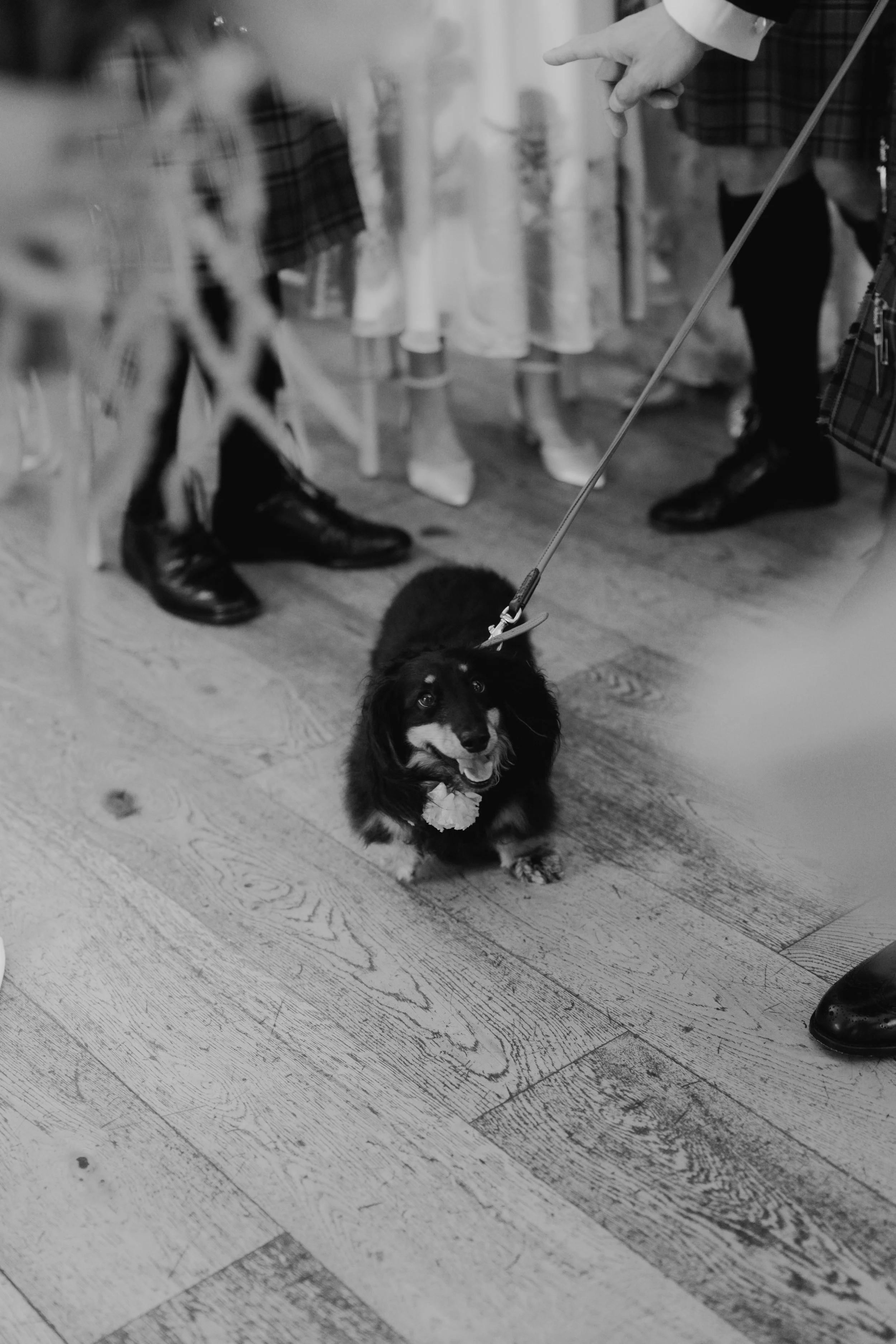 Newhall Estate Wedding Photography on Digital and 35 mm Film 42.jpg