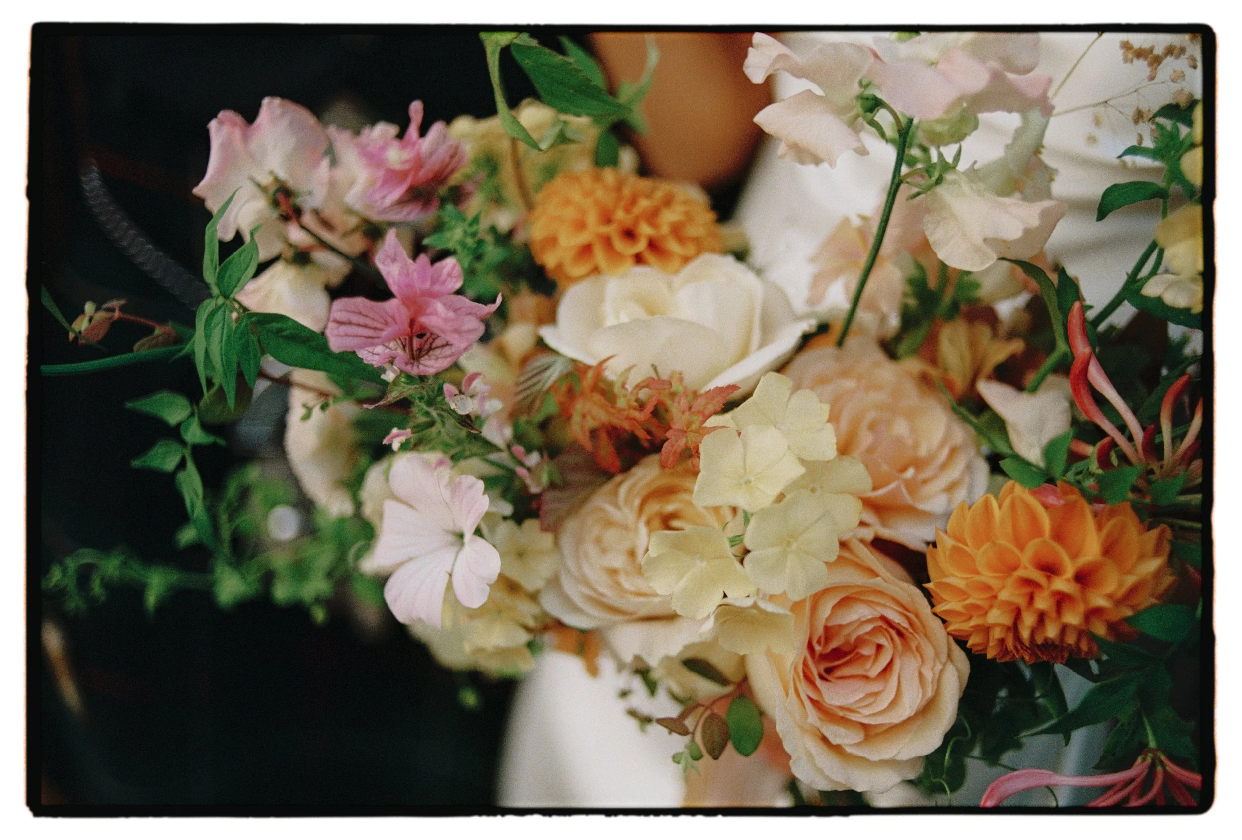 Porteus Studio Wedding Photography on 35 mm Film 6.jpg