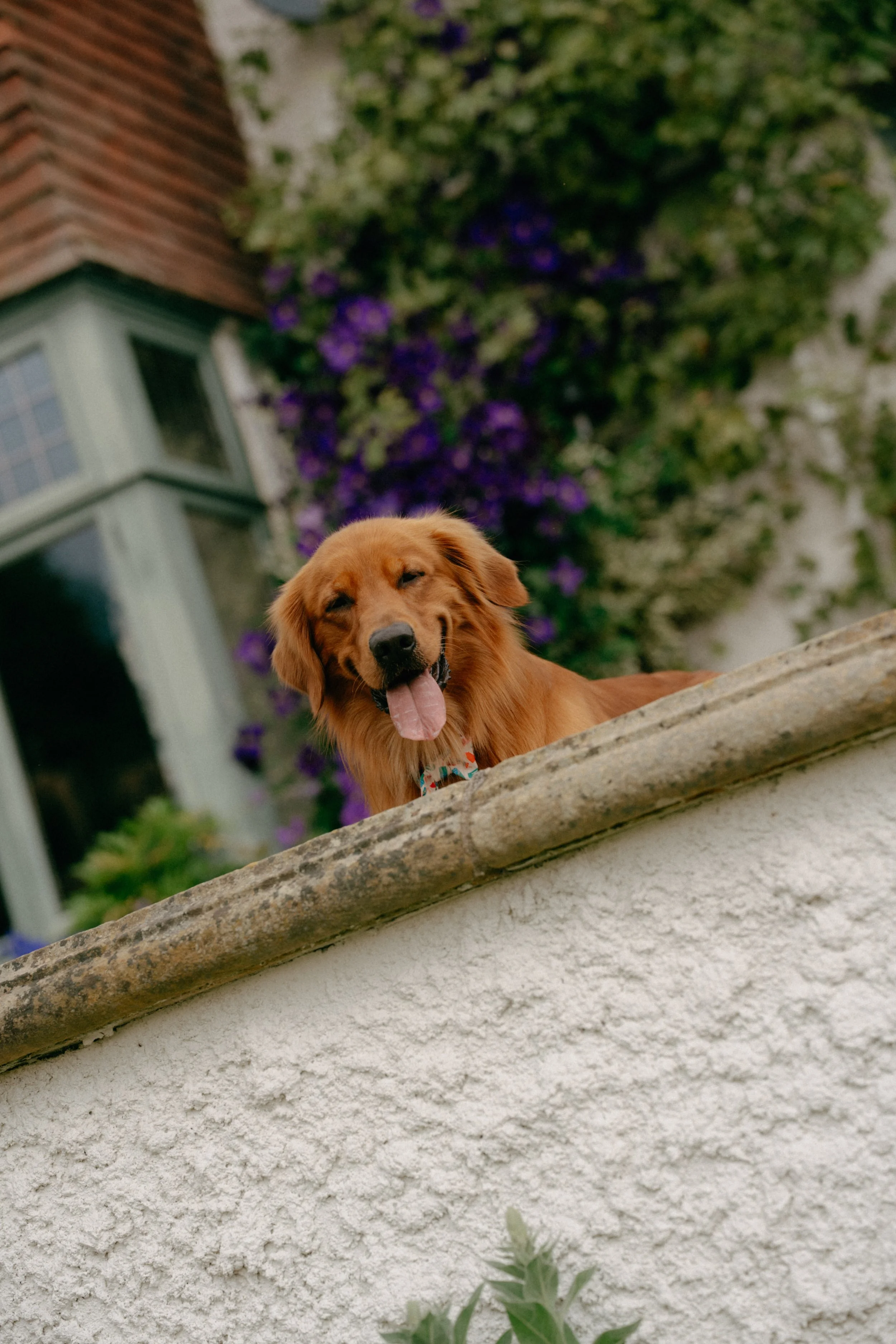 Groom Prep Photos in Alnmouth, Northumberland 3.jpg