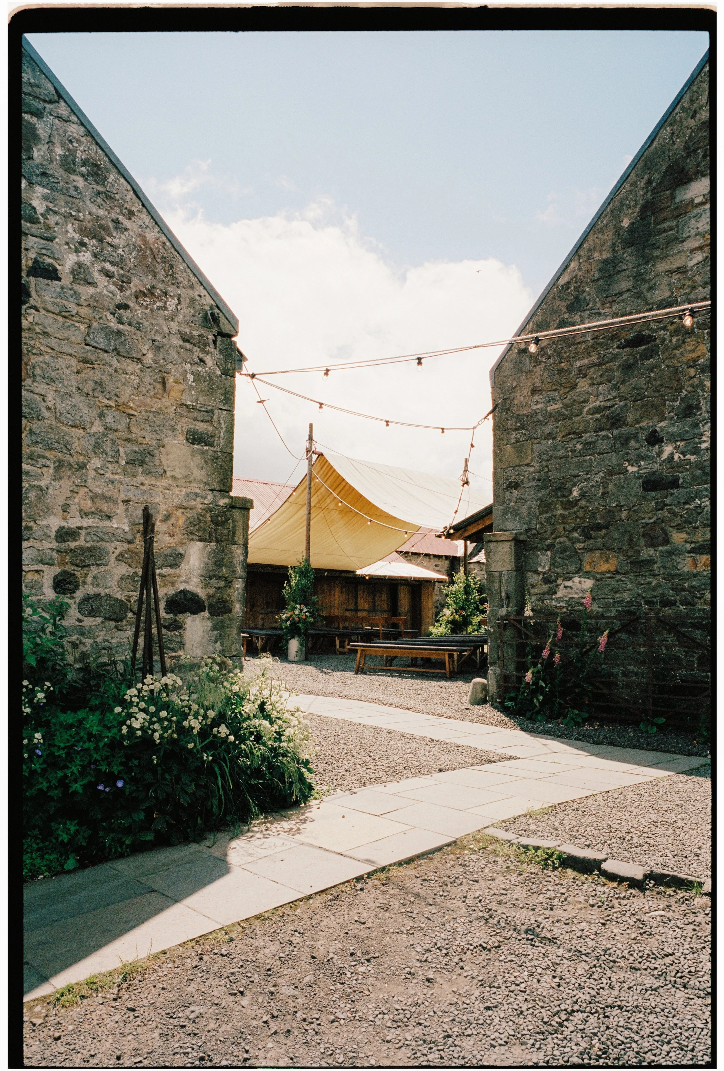 The Free Company Wedding on Film 2.jpg