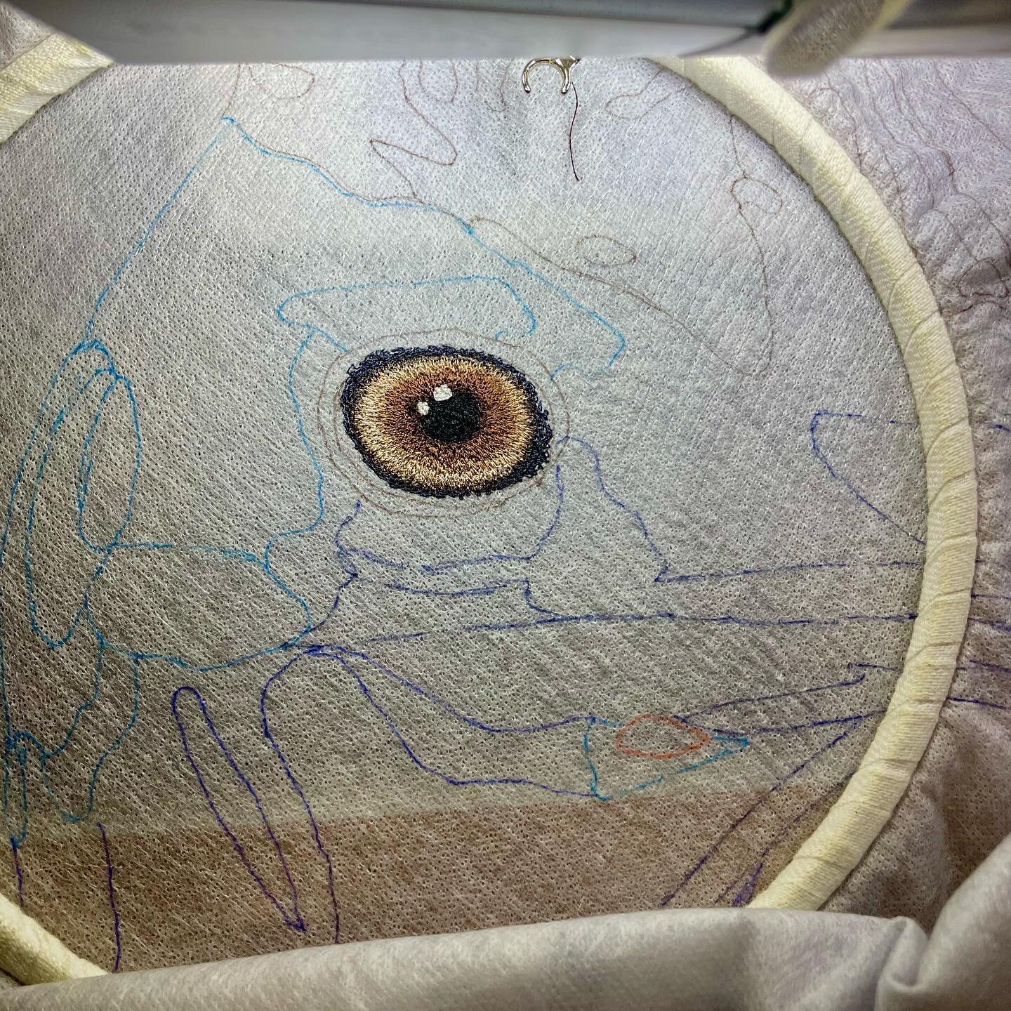My next big project, can anyone tell who I&rsquo;m sewing? I&rsquo;ll give you a clue: It&rsquo;s an Aussie bird 😜.

This one is going to take a while, I&rsquo;ve already used 11 thread colours 😱

🧵🎨🪶

#animalartist #wildlifeart #wildlifeartist 