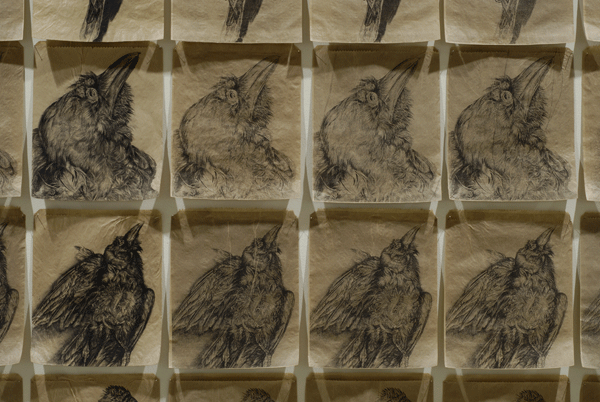5.detail-trace-exhibition.gif