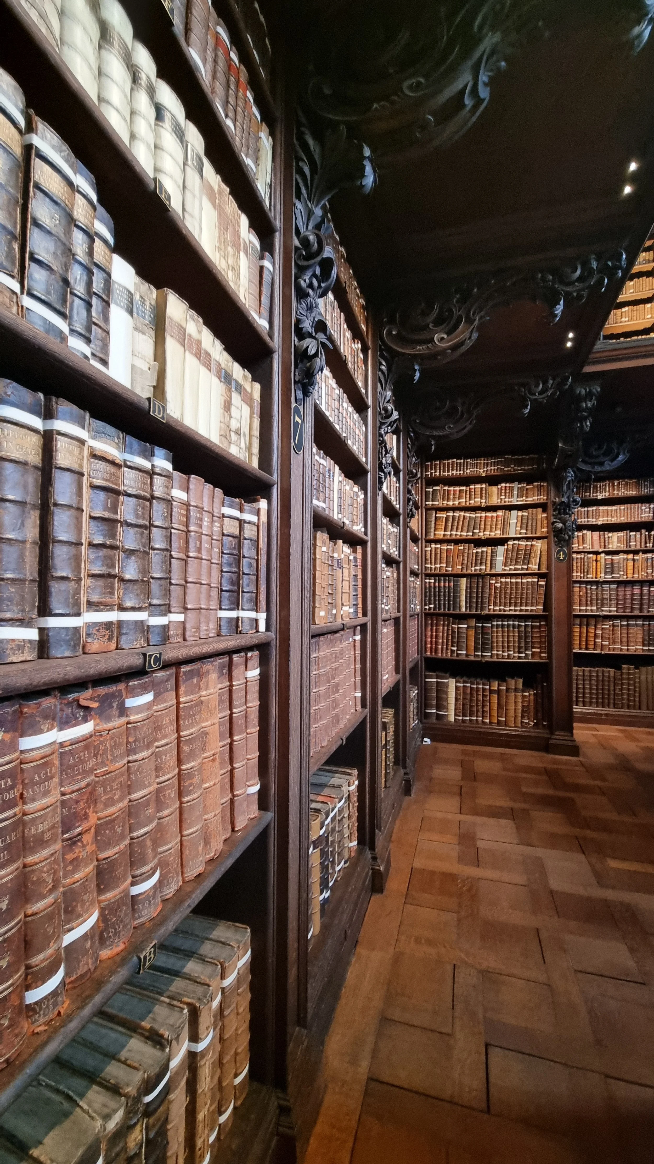 Library Leather Brown. Photo: Emily Morgan
