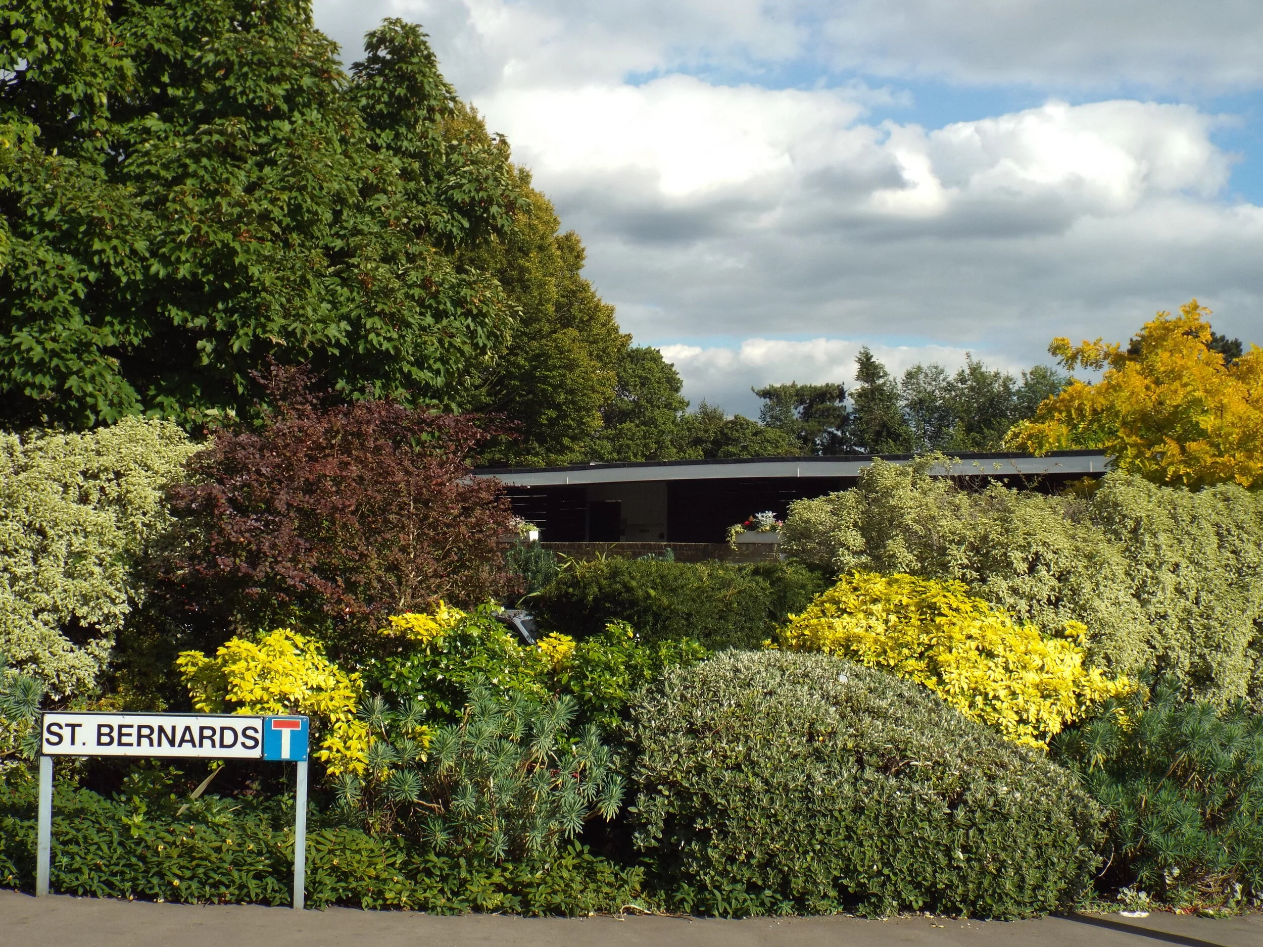 DSCF6246.JPG