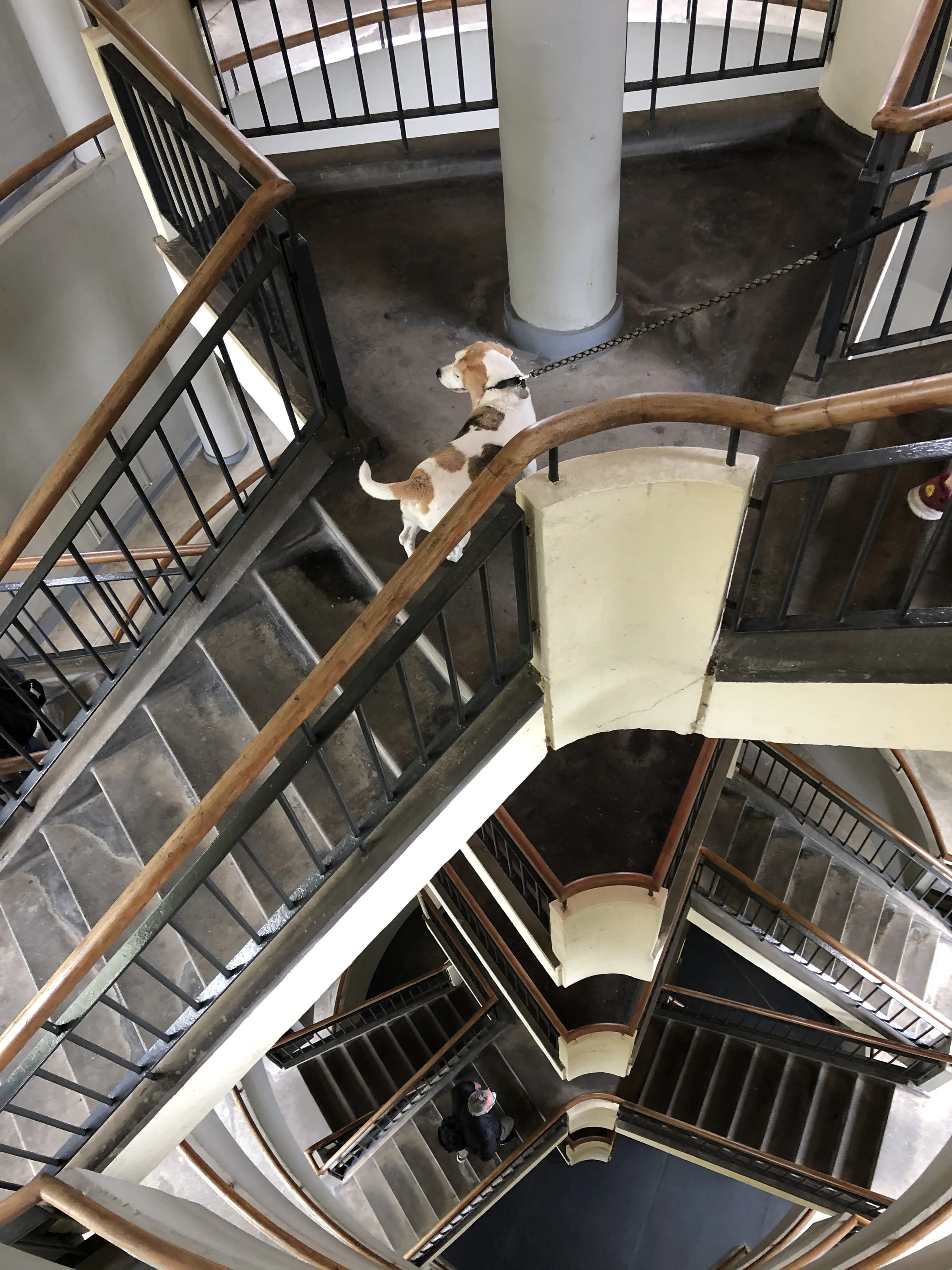 The London Public Health Architecture Walking Tour 