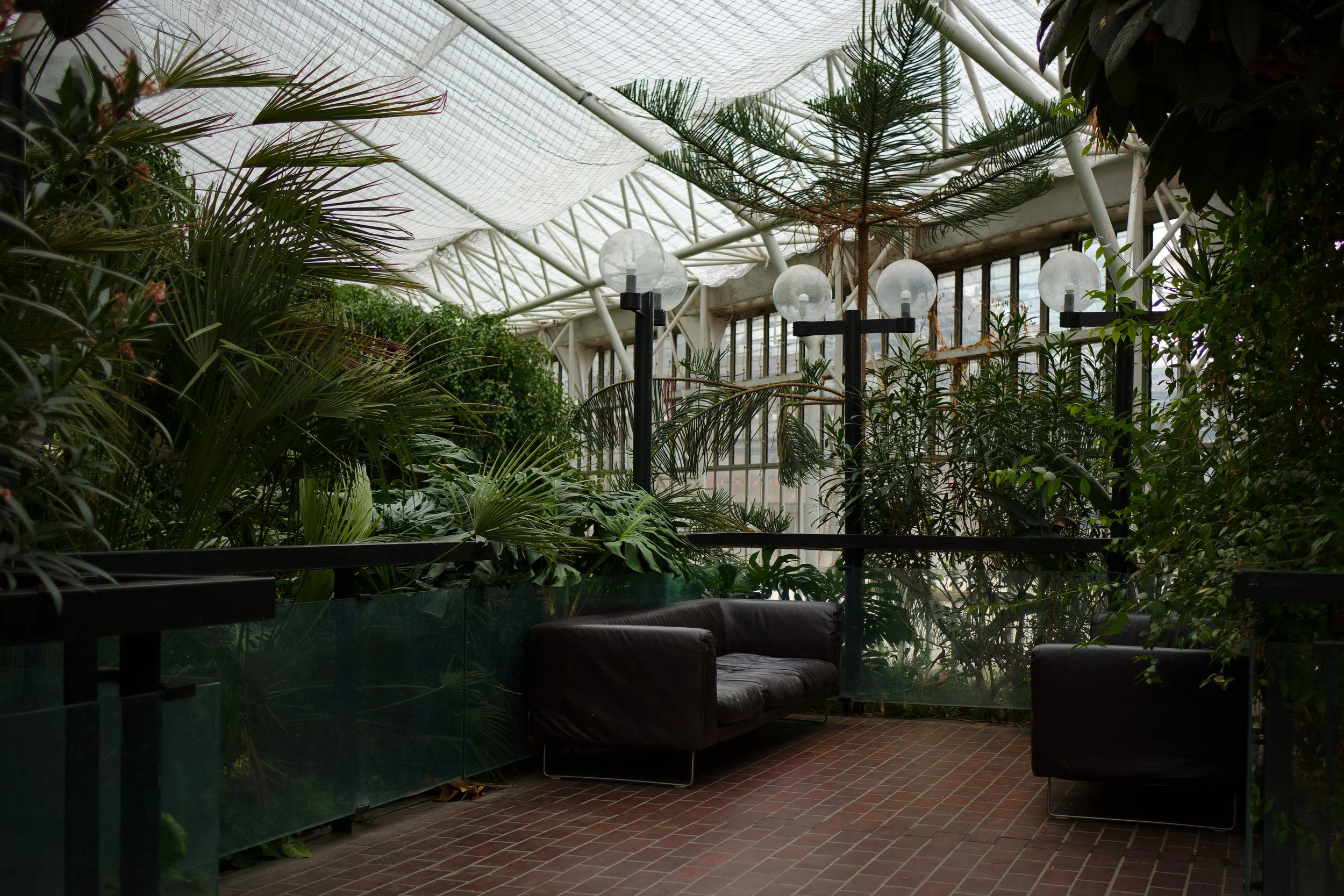 'Jungles Living Room', Adam Carballo Romero