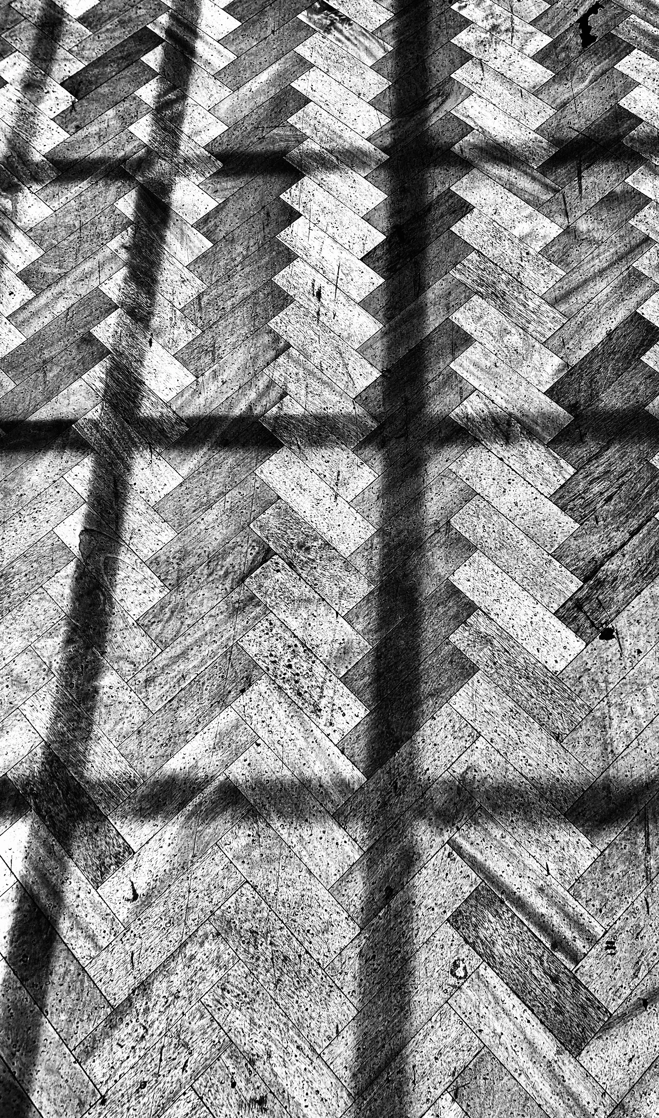 'For a Human Being', Simon Piesse