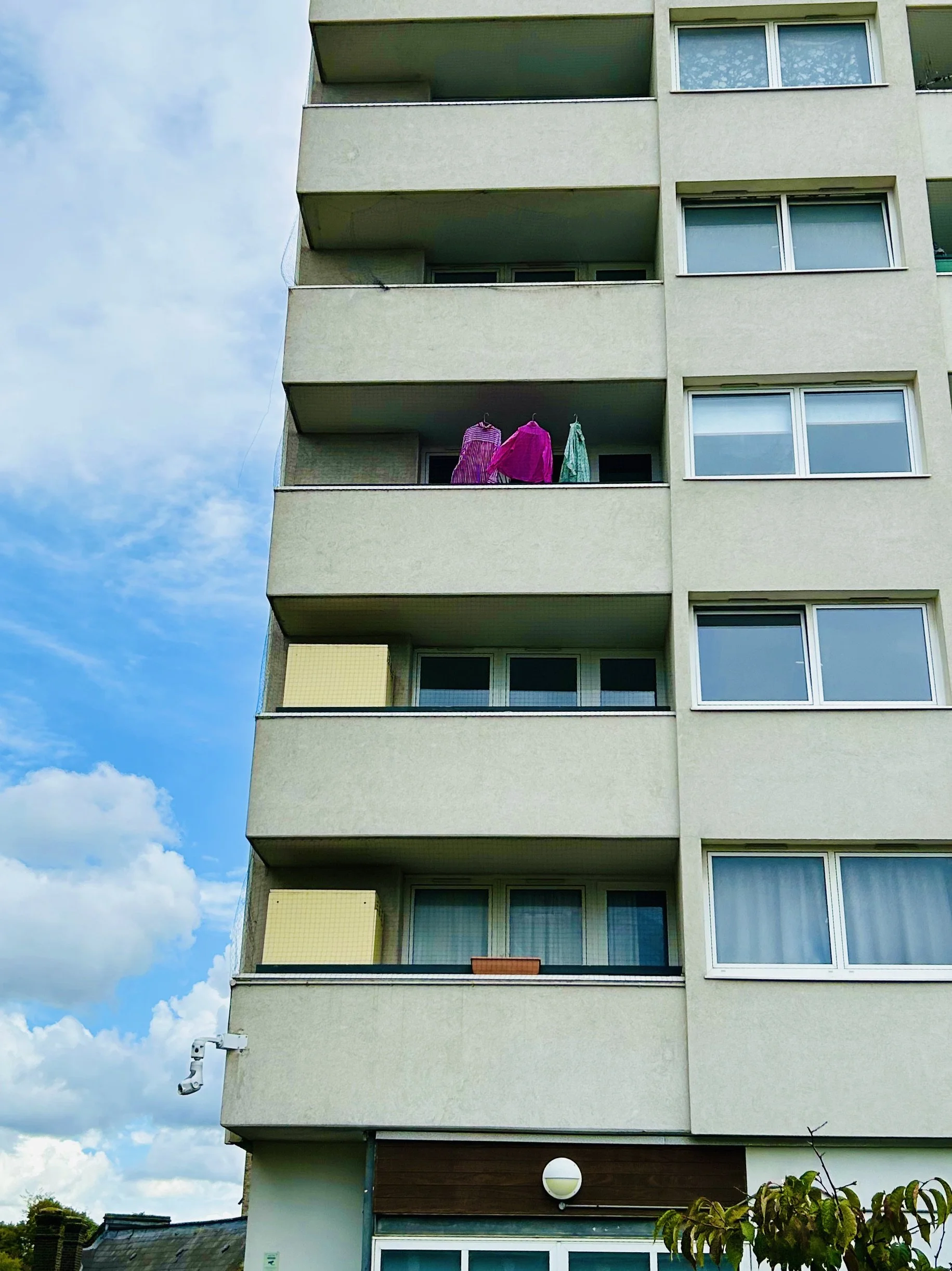 High Pink and Dry Green. Photo: Simon Piesse