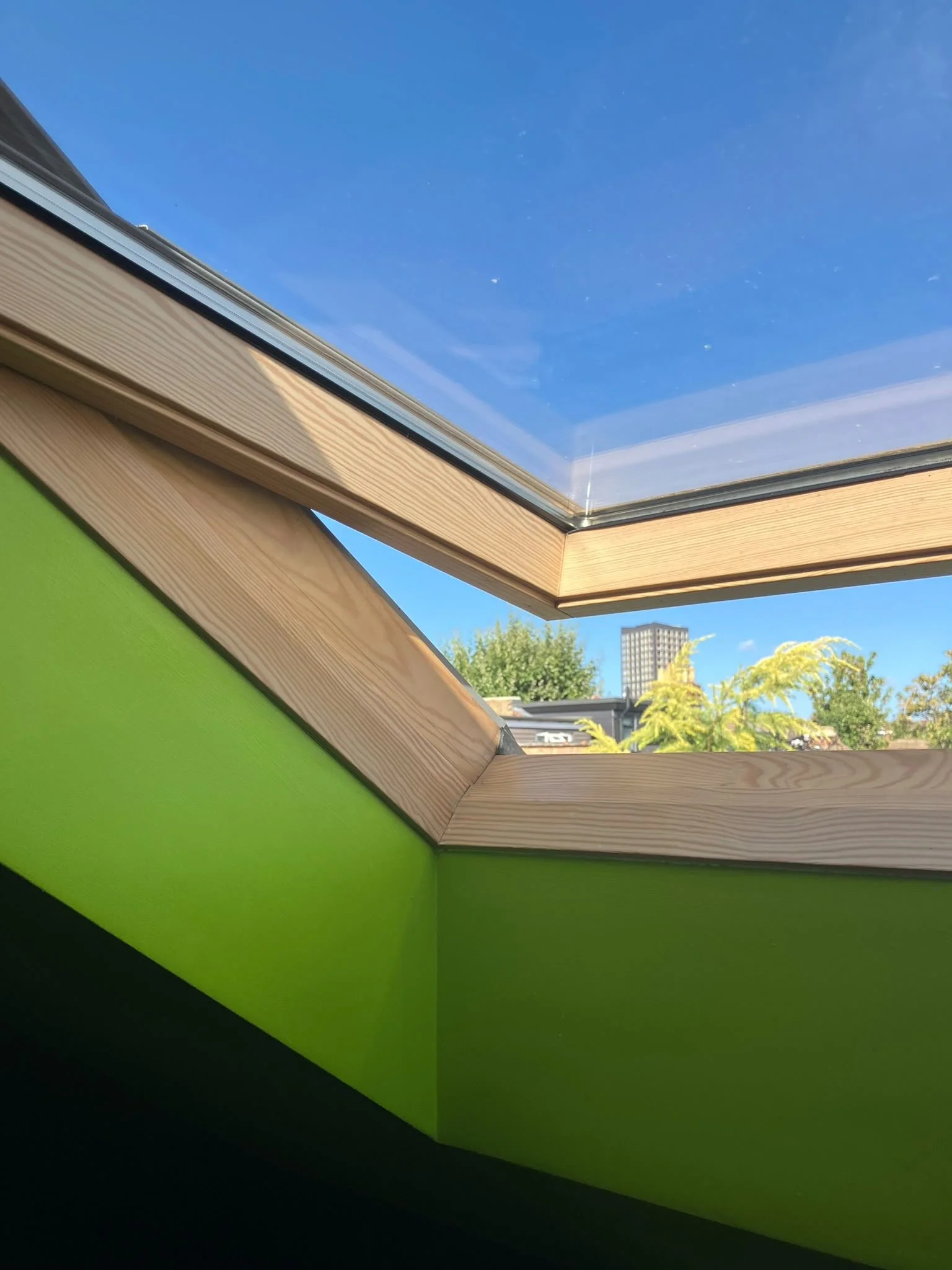 'Green Perspective', Chinedu Okafor