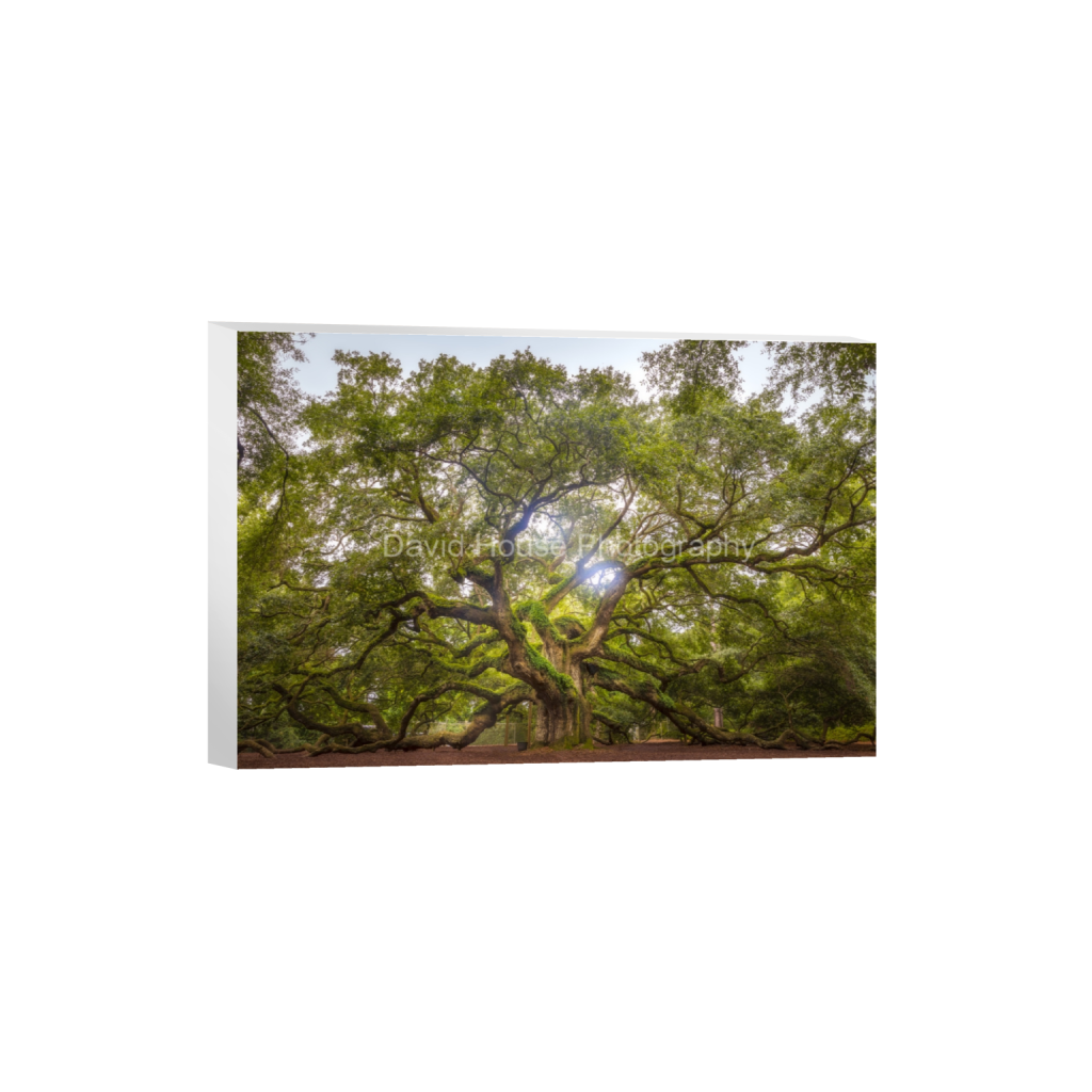 ptq_7_3_18_0_8098_5399_0_false_ffffff_0_0_a6bd83e03969496963bb13e2923e7cf5.png