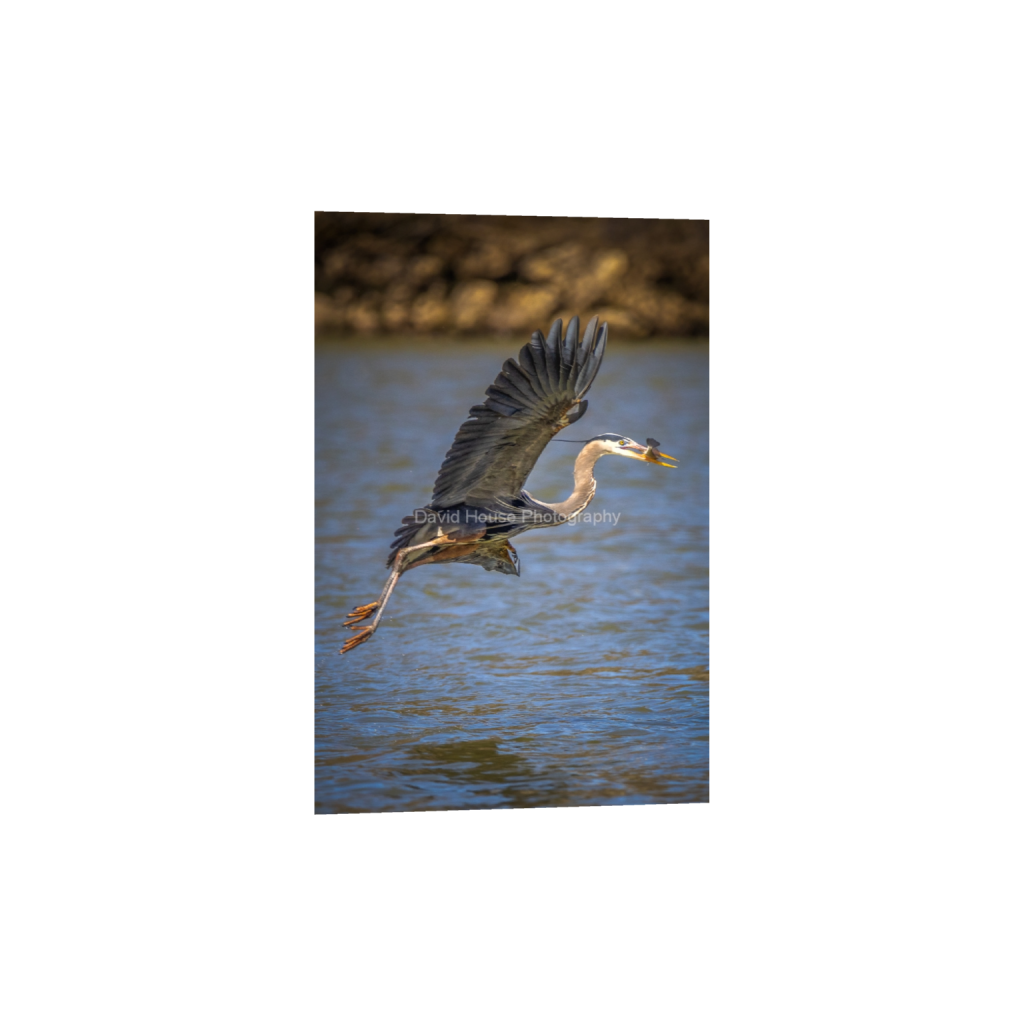 ptq_34_3_251_0_2517_3776_0_false_ffffff_0_0_a6bd83e03969496963bb13e2923e7cf5.png