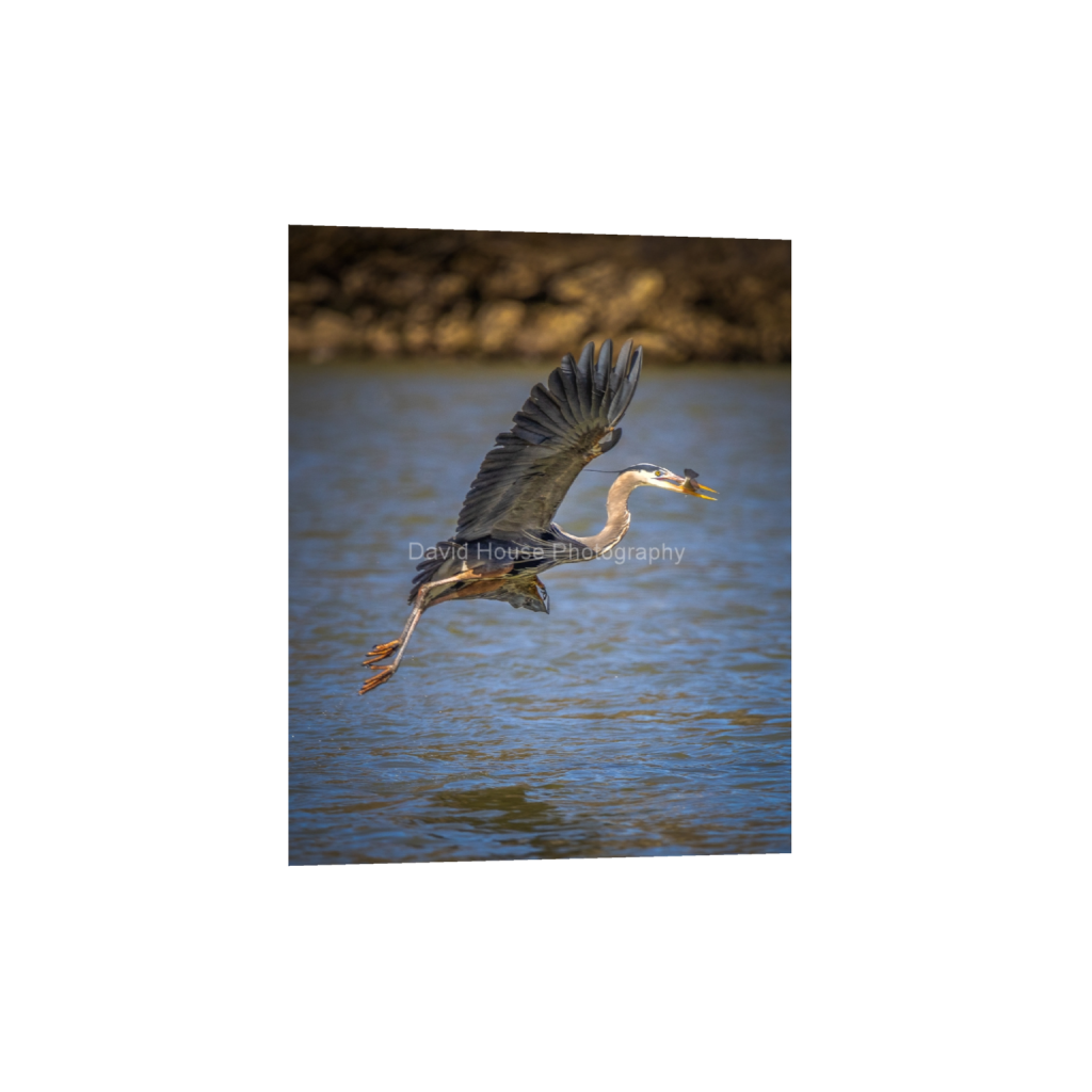 ptq_34_6_0_0_3020_3776_0_false_ffffff_0_0_a6bd83e03969496963bb13e2923e7cf5.png