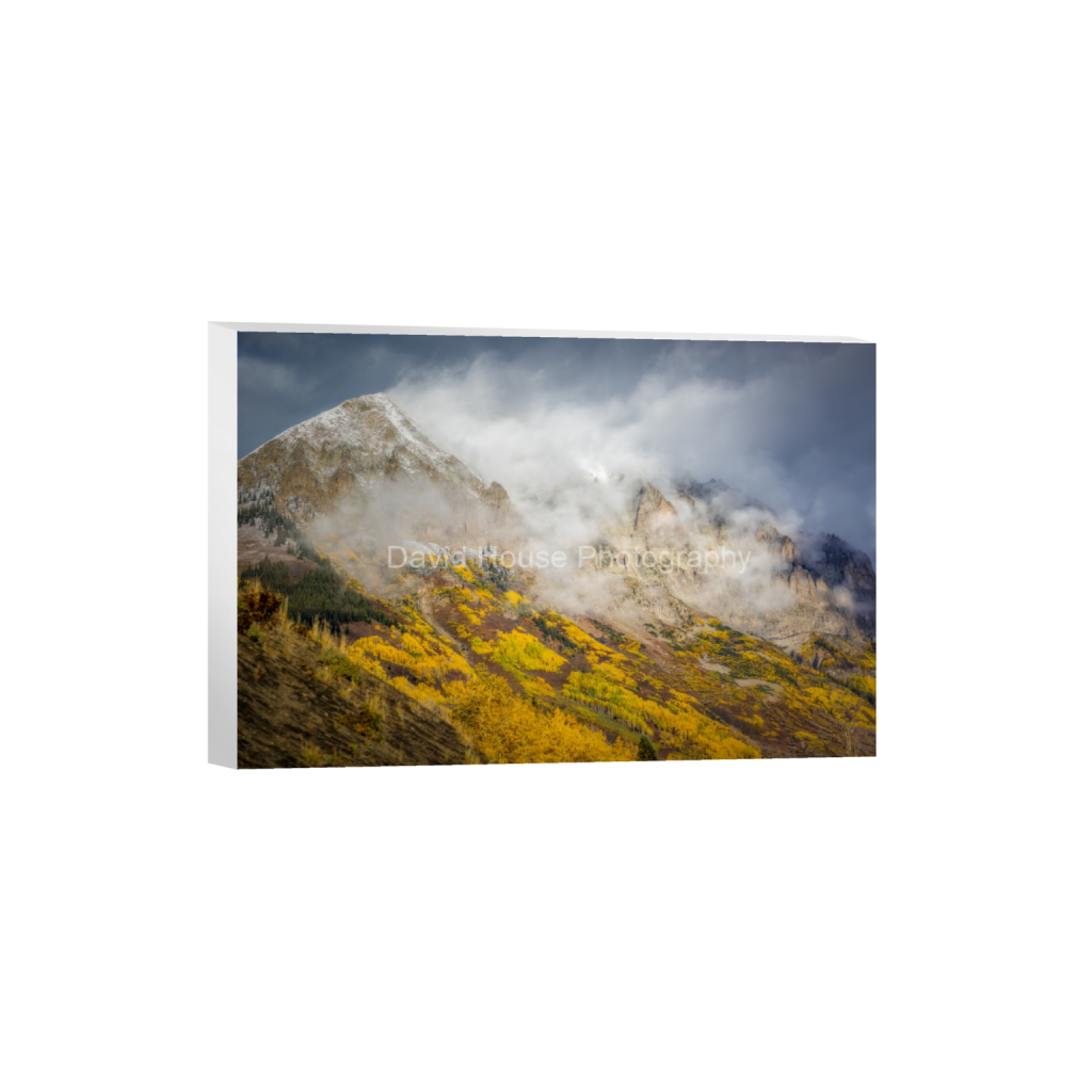 ptq_7_3_427_0_12811_8541_0_false_ffffff_0_0_a6bd83e03969496963bb13e2923e7cf5.png