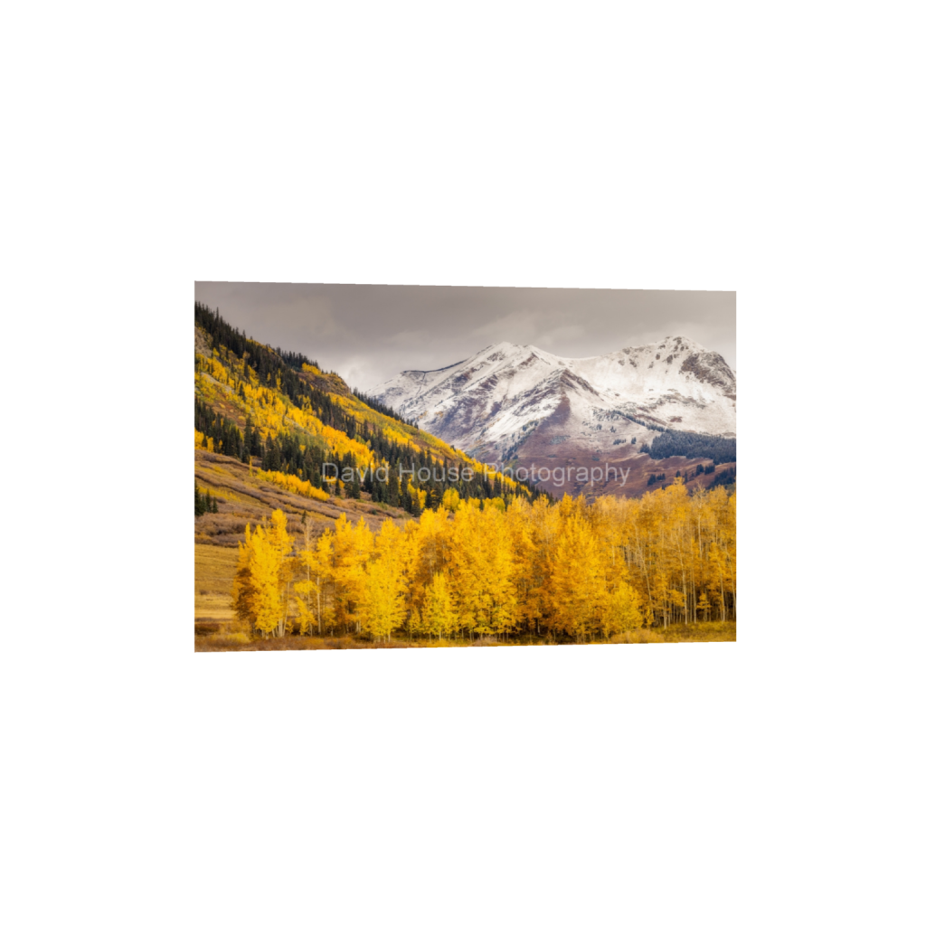 ptq_1_3_0_1_8192_5461_0_false_ffffff_0_0_a6bd83e03969496963bb13e2923e7cf5.png