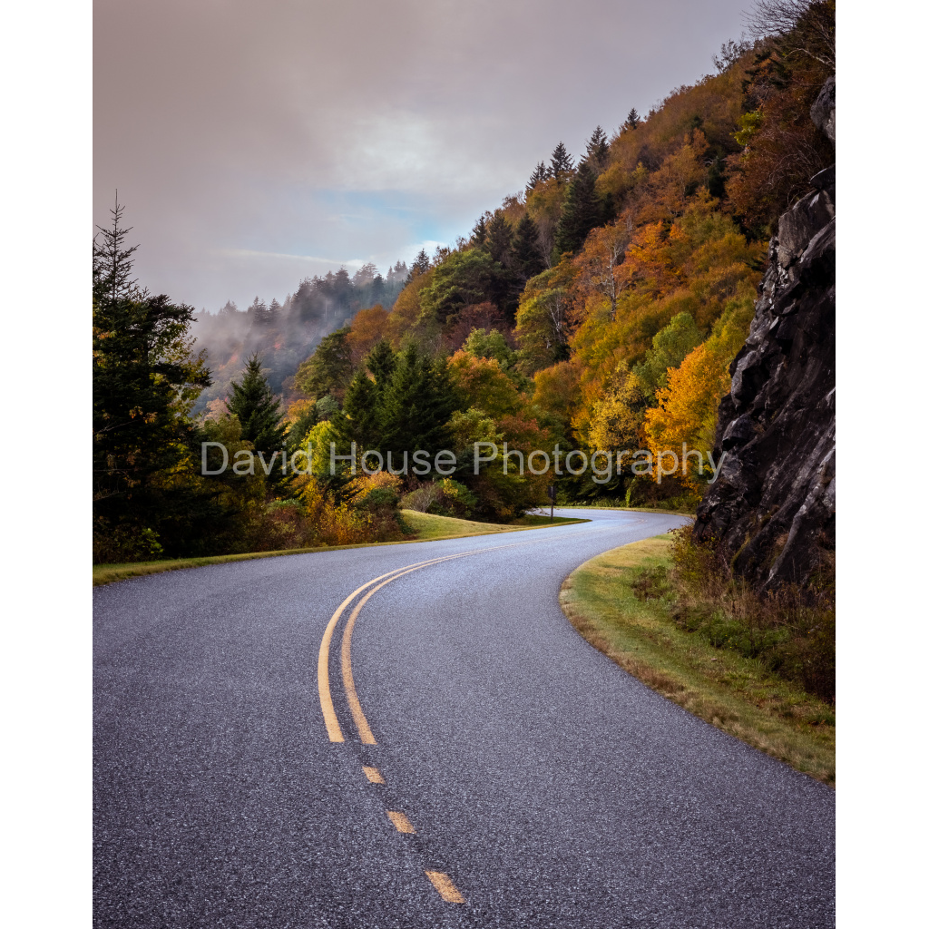 image_original_a6bd83e03969496963bb13e2923e7cf5.png