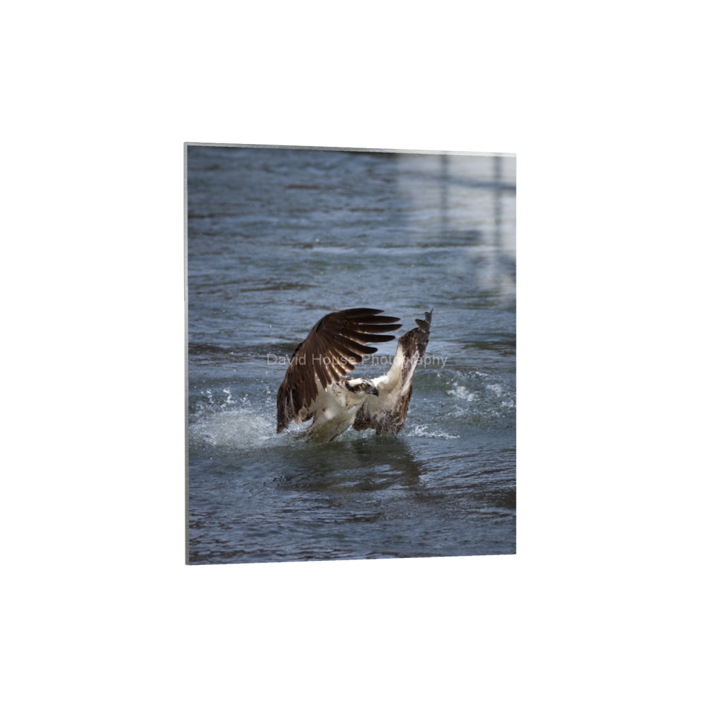 ptq_13_6_0_0_2932_3666_0_false_ffffff_0_0_a6bd83e03969496963bb13e2923e7cf5.png