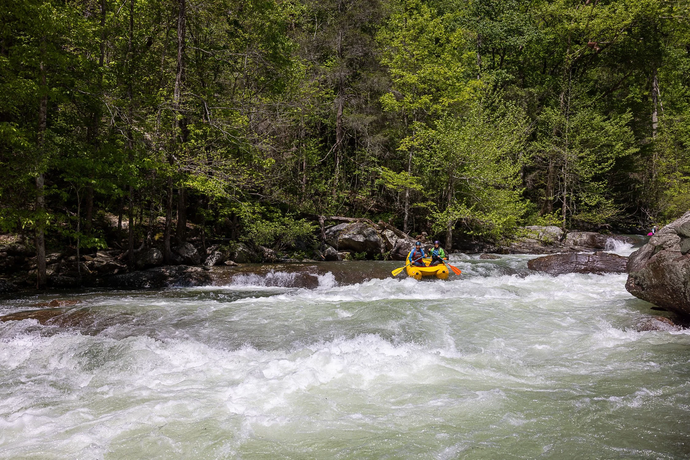Tallulah_Release_David_House_River_Photos-30.jpg