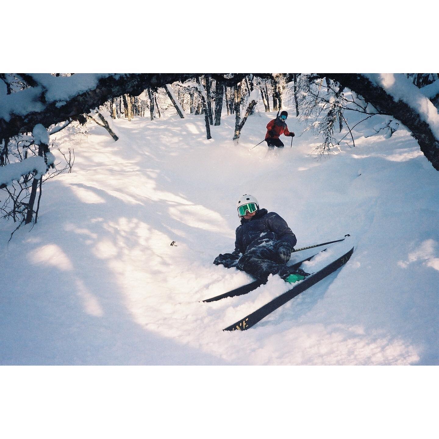 🎞 online postcard from sweden. 
hope everyone have had a good winter!🤍