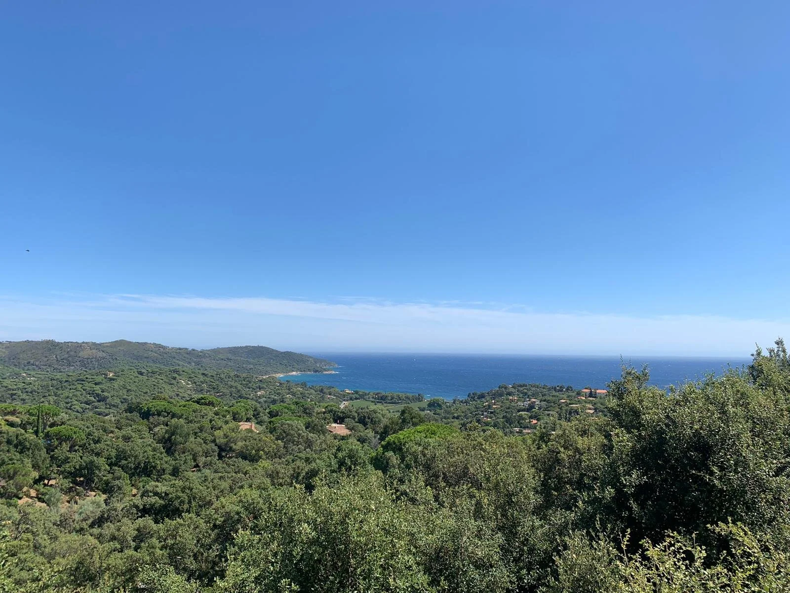 WhatsApp Image 2020-08-04 at 09.37.00.jpeg