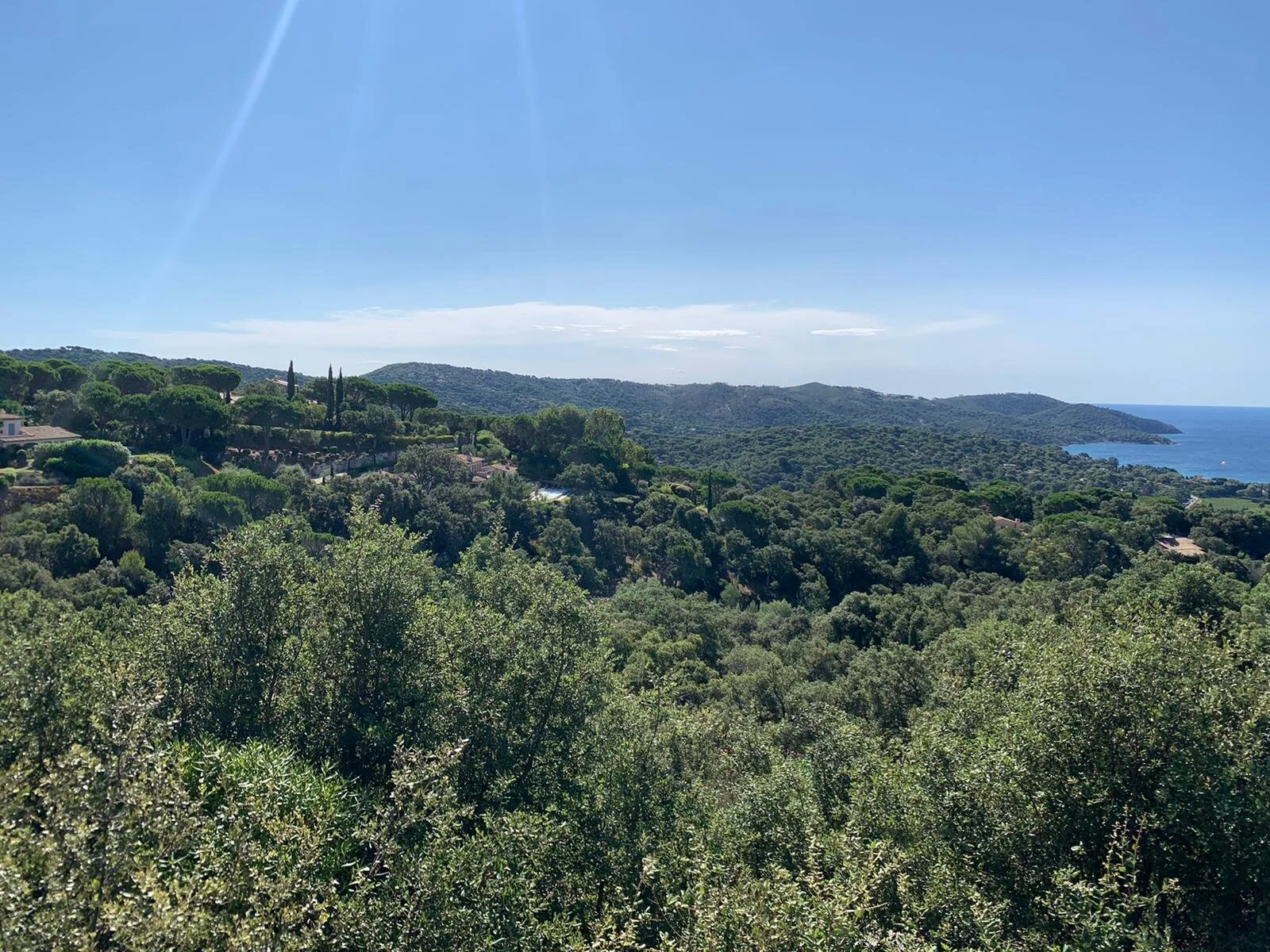 WhatsApp Image 2020-08-04 at 09.37.53.jpeg