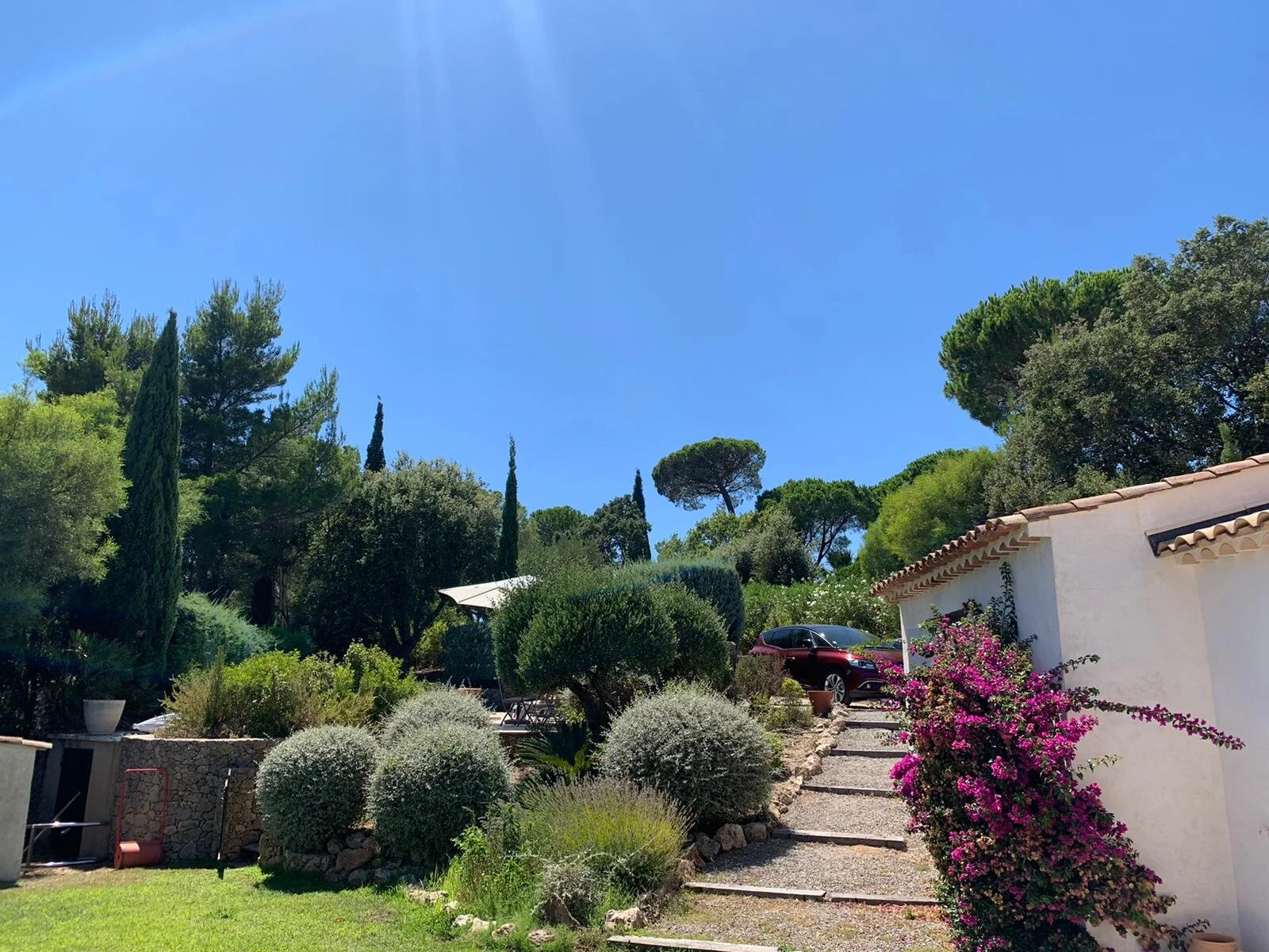 WhatsApp Image 2020-08-04 at 13.42.52.jpeg