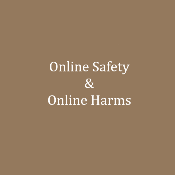 Online Safety &amp; Online Harms 