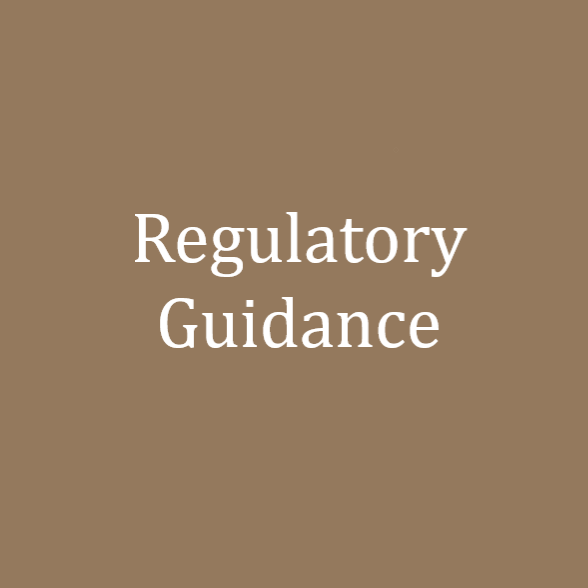 Regulatory Guidance 