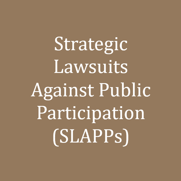 Strategic Lawsuits Against Public Participation (SLAPPs)