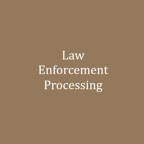 Law Enforcement Processing.png