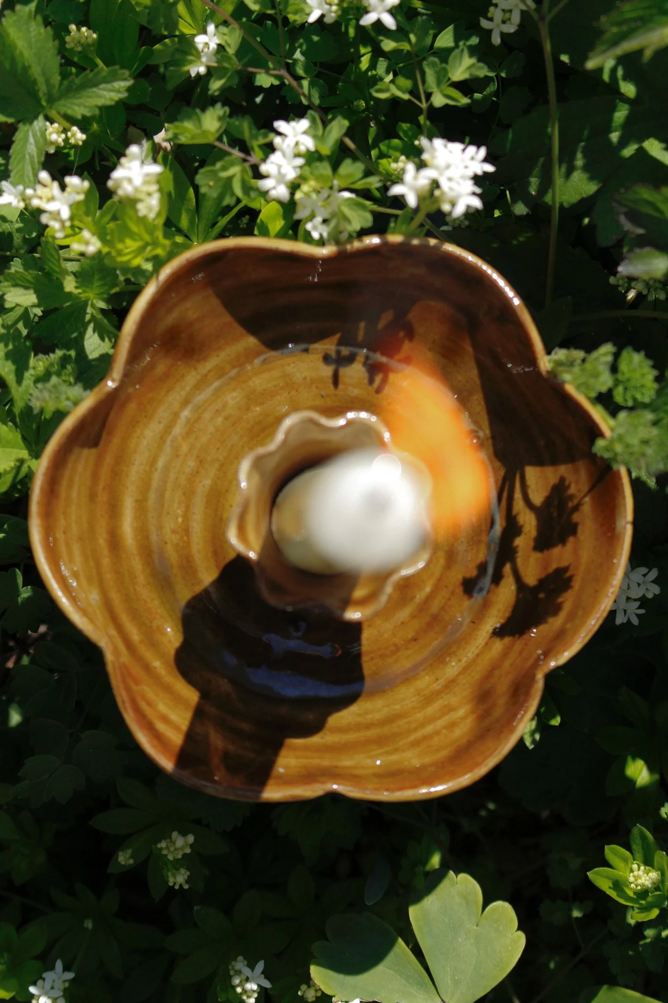 Soft touch edited-9.jpg