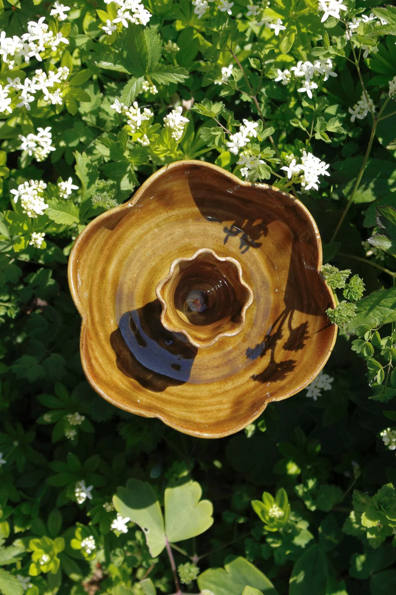 Soft touch edited-11.jpg