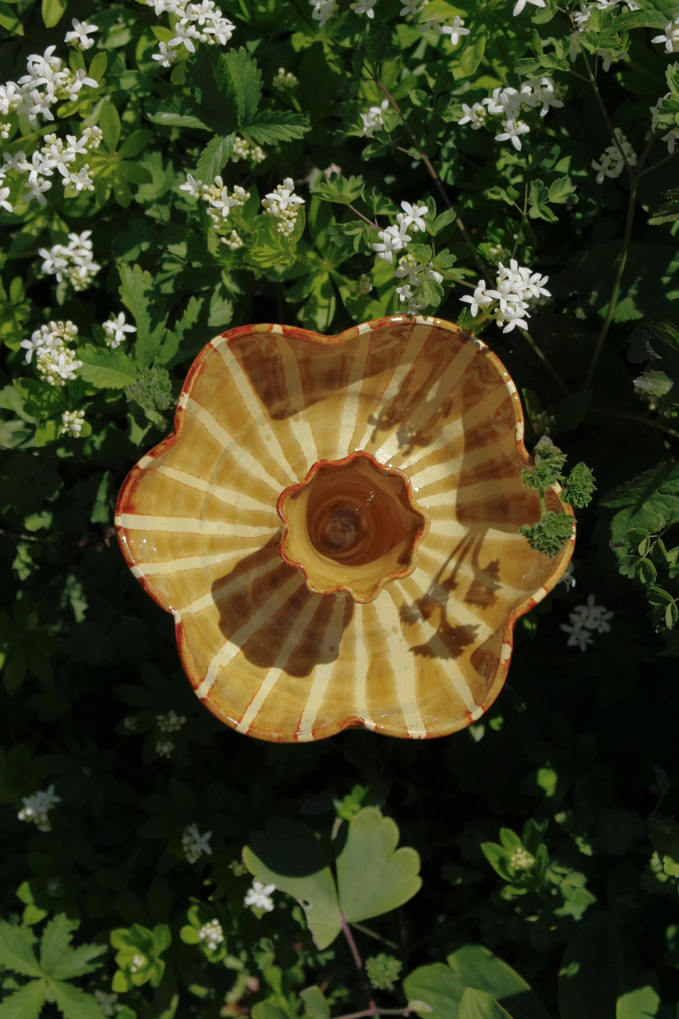 Soft touch edited-7.jpg