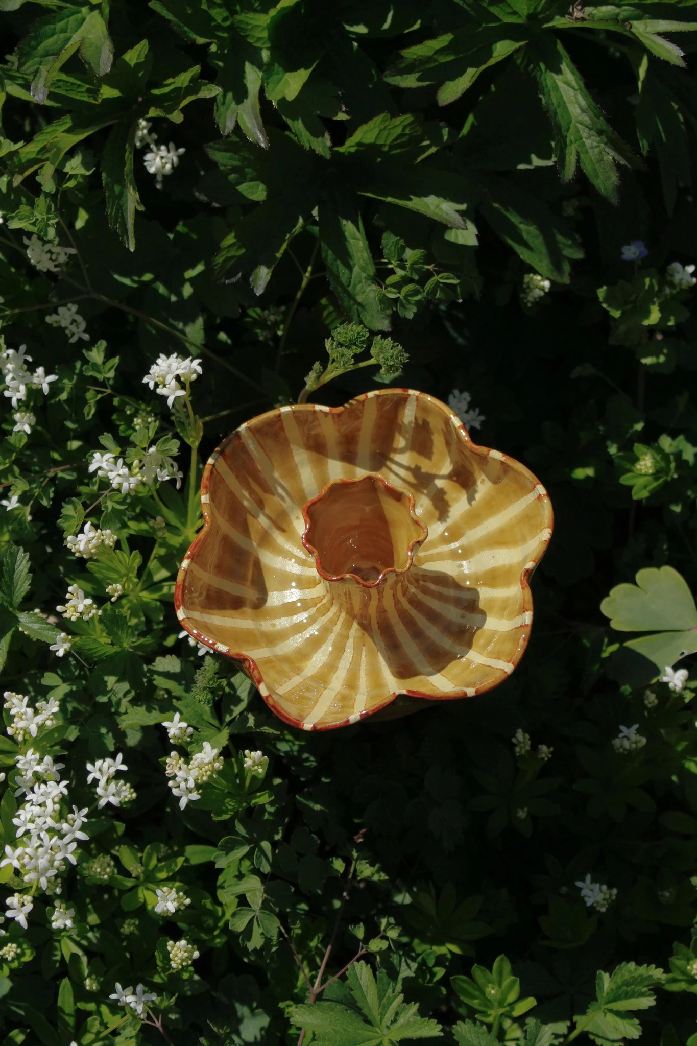 Soft touch edited-8.jpg