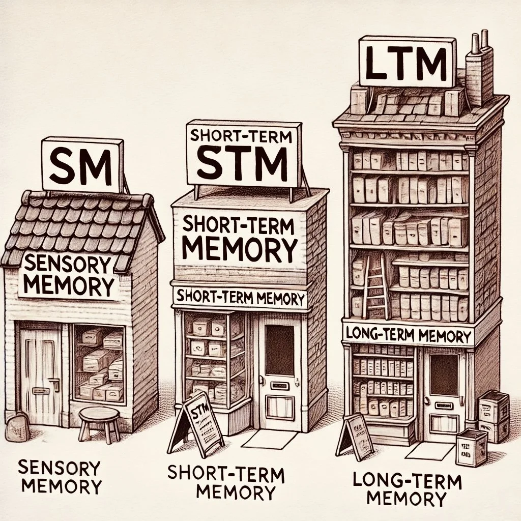 First V Memory MSM FEATURES OF MEMORY — Blog 1 — PSYCHSTORY