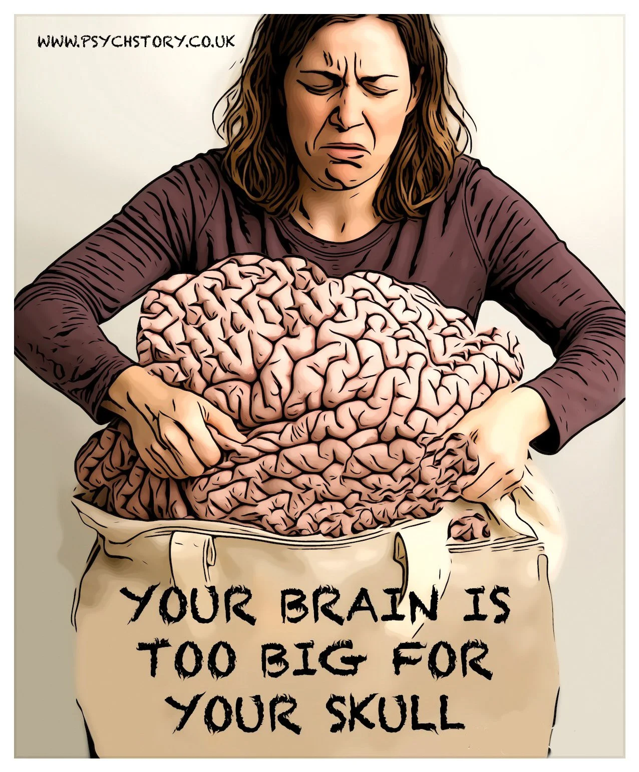 CORTICAL FOLDING (GYRIFICATION)