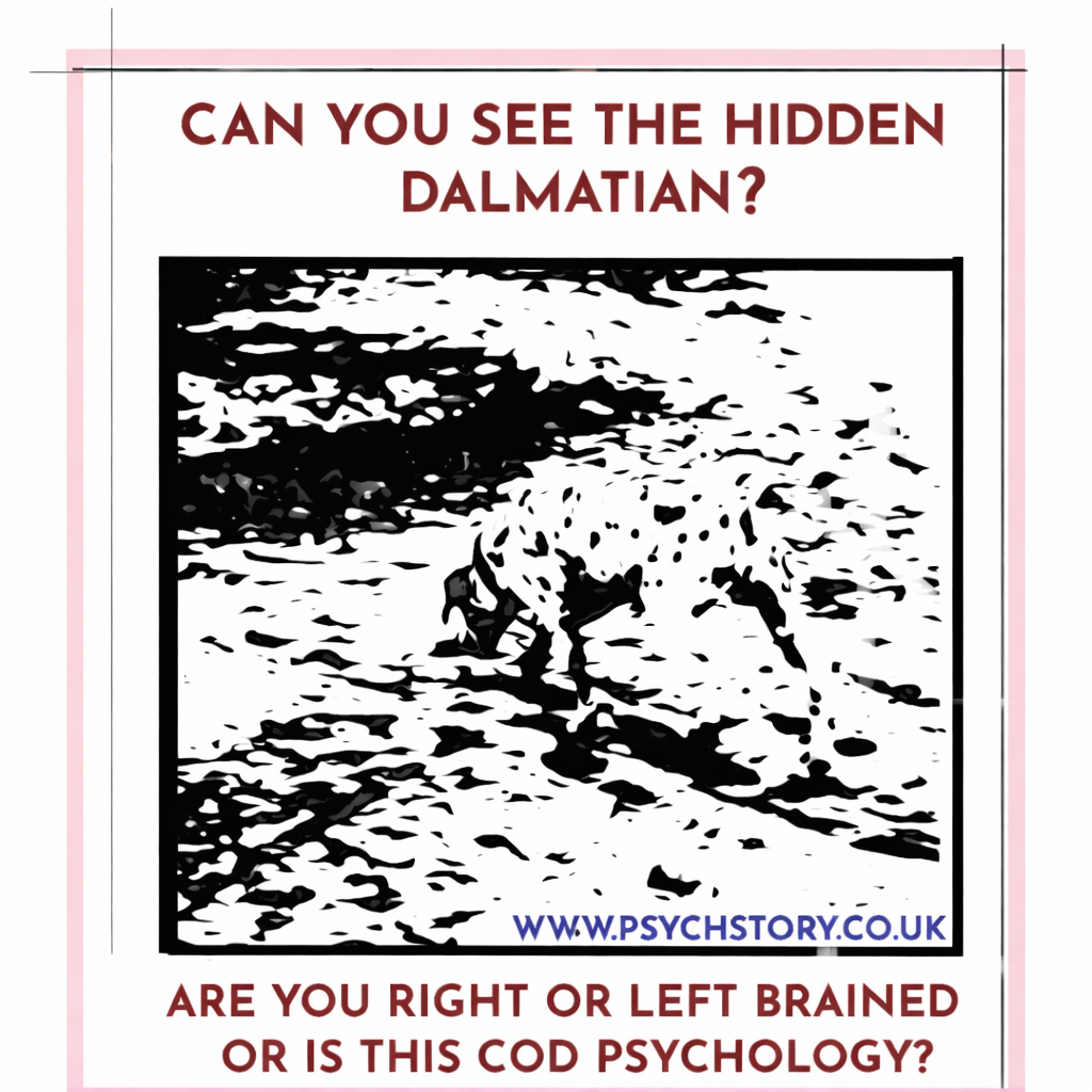 THERE IS NO SUCH THING AS BEING LEFT OR RIGHT BRAINED