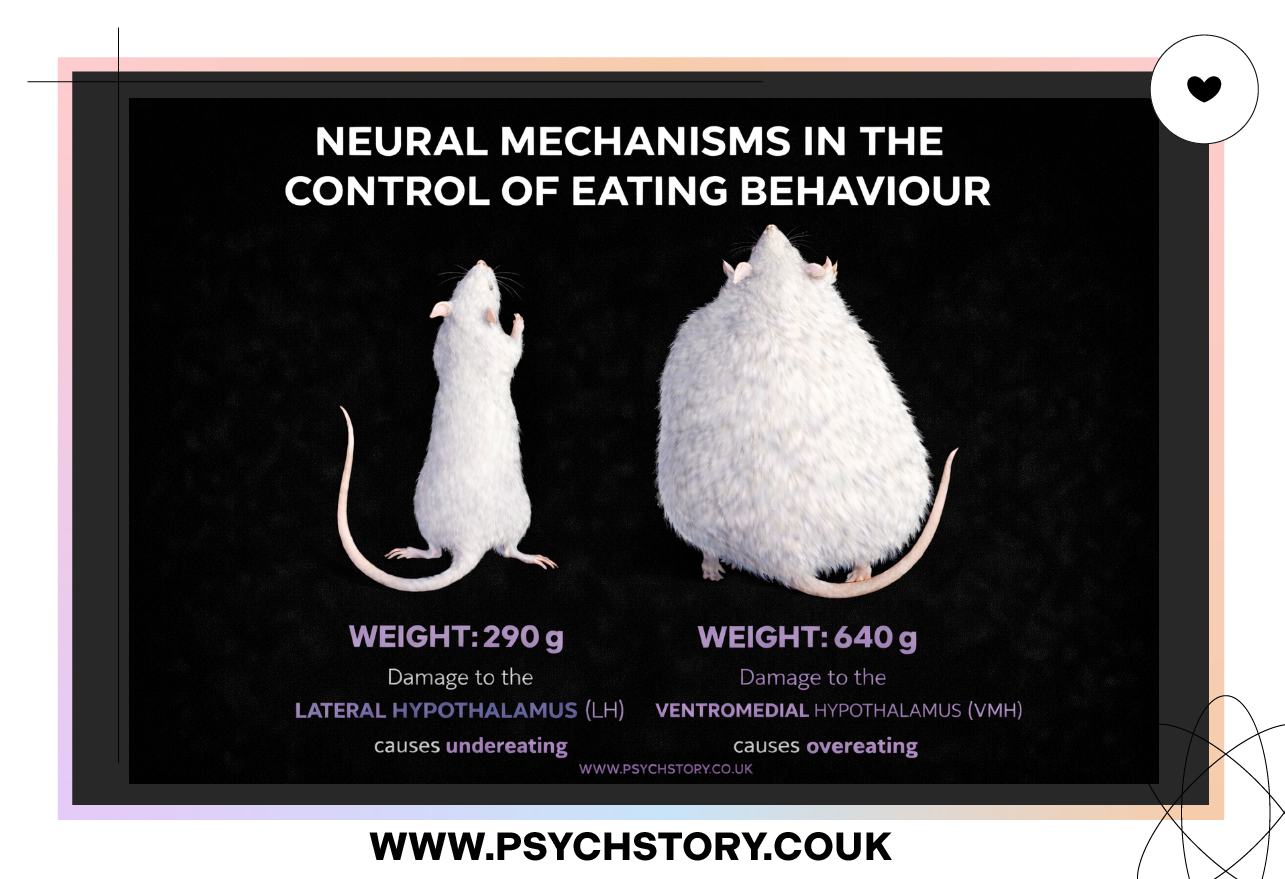 NEURAL AND HORMONAL MECHANISMS IN THE CONTROL OF EATING BEHAVIOUR