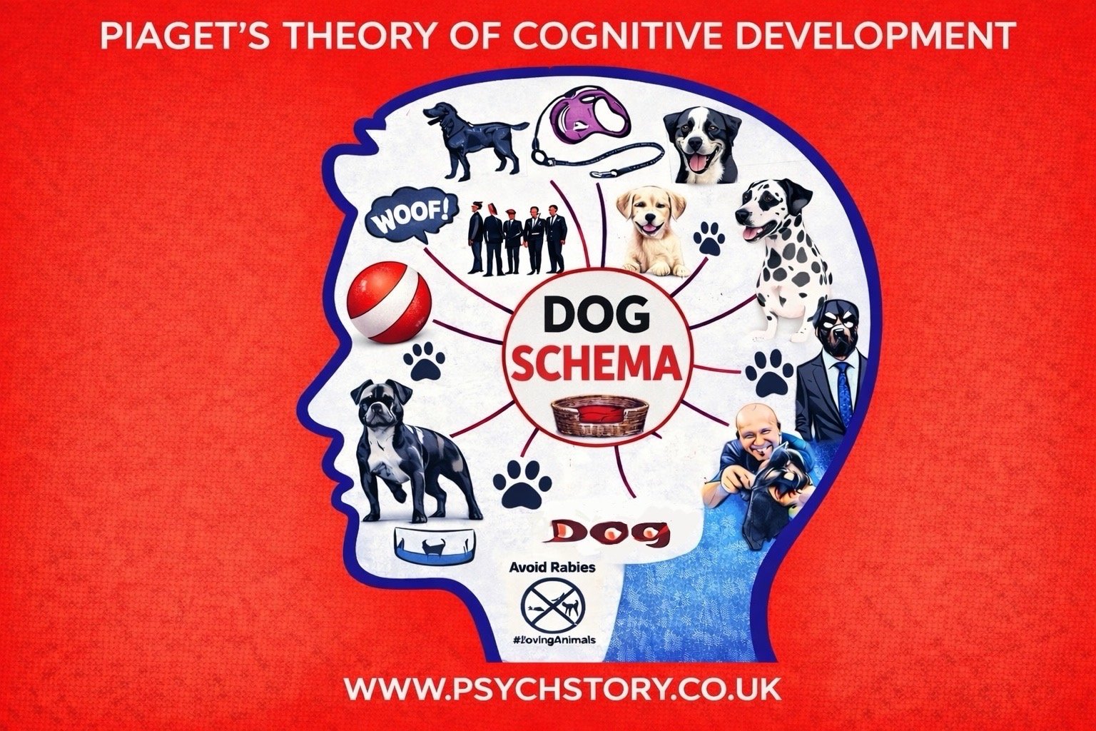 PIAGET’S THEORY OF COGNITIVE DEVELOPMENT 