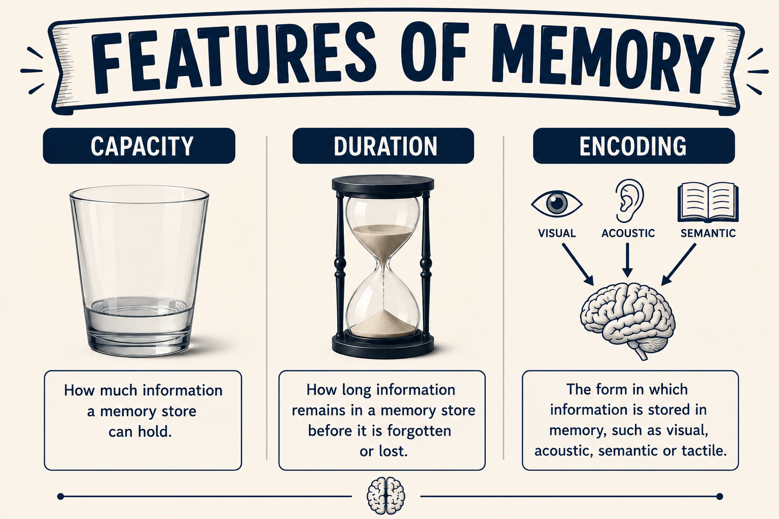 CODING, CAPACITY AND DURATION OF MEMORY