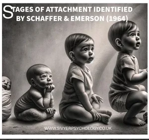 SCHAFFER: STAGES OF ATTACHMENT — DEVELOPMENTAL PSYCHOLOGY | Discover ...