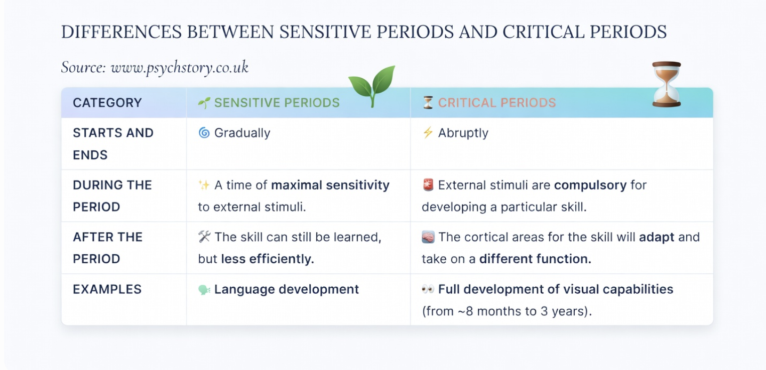 differencees between critical and sensitive periods