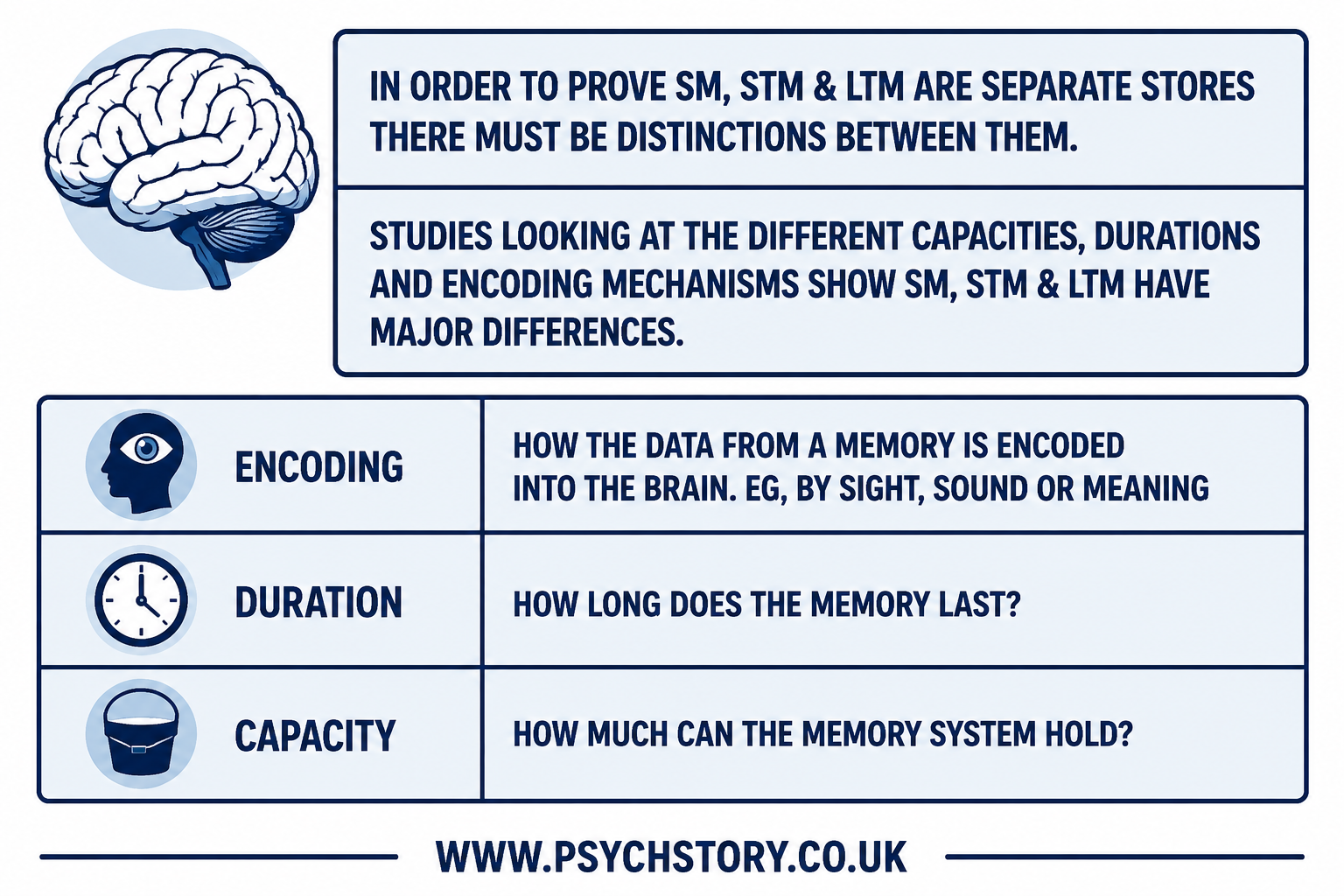 ENCODING, CAPACITY AND DURATION