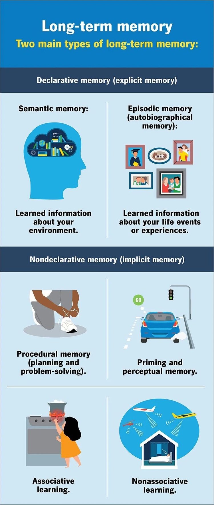 LONG TERM MEMORY — MEMORY | Enhance Memory Skills Today — PSYCHSTORY