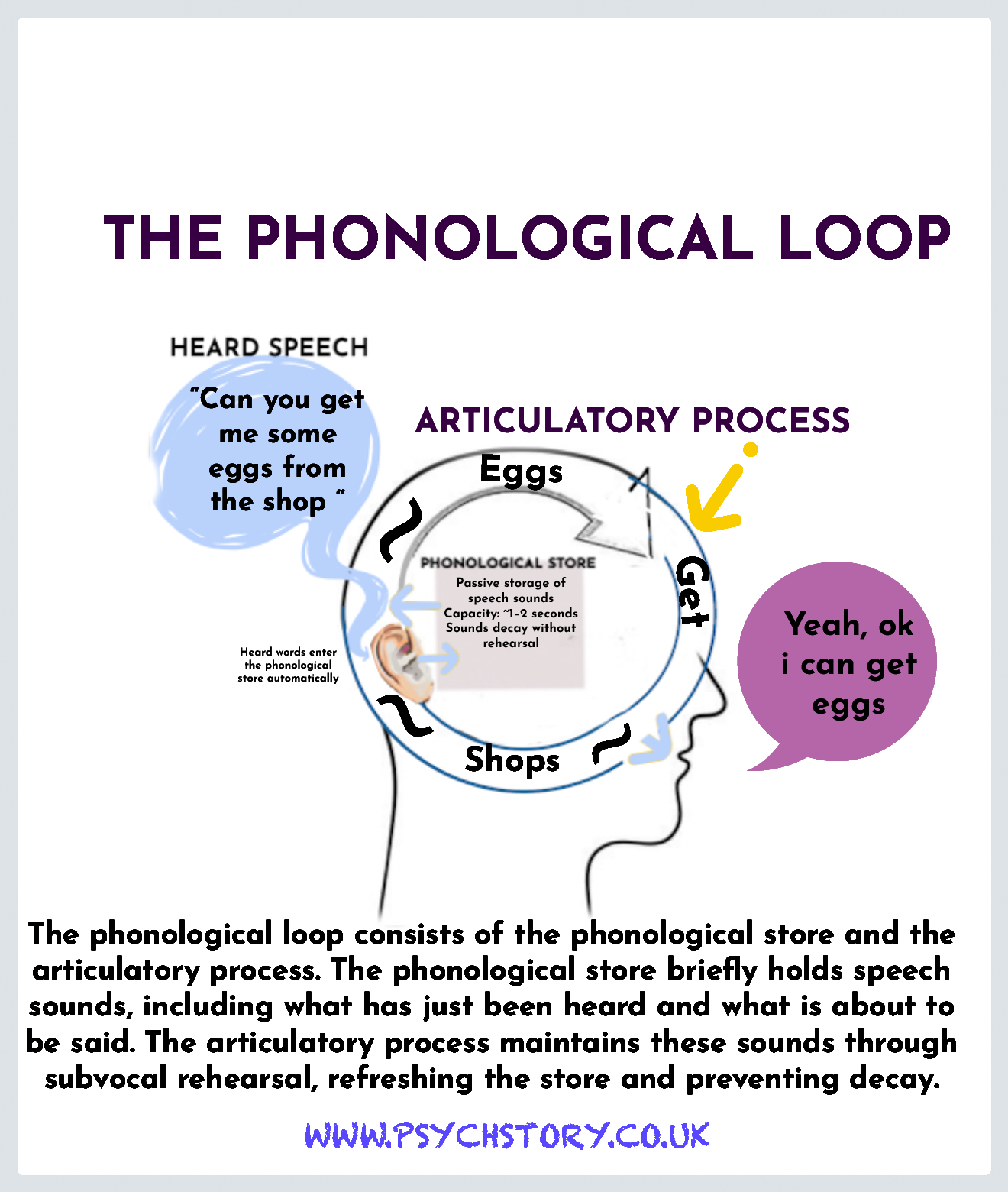 THE WORKING MODEL OF MEMORY — MEMORY | Enhance Memory Skills Today ...