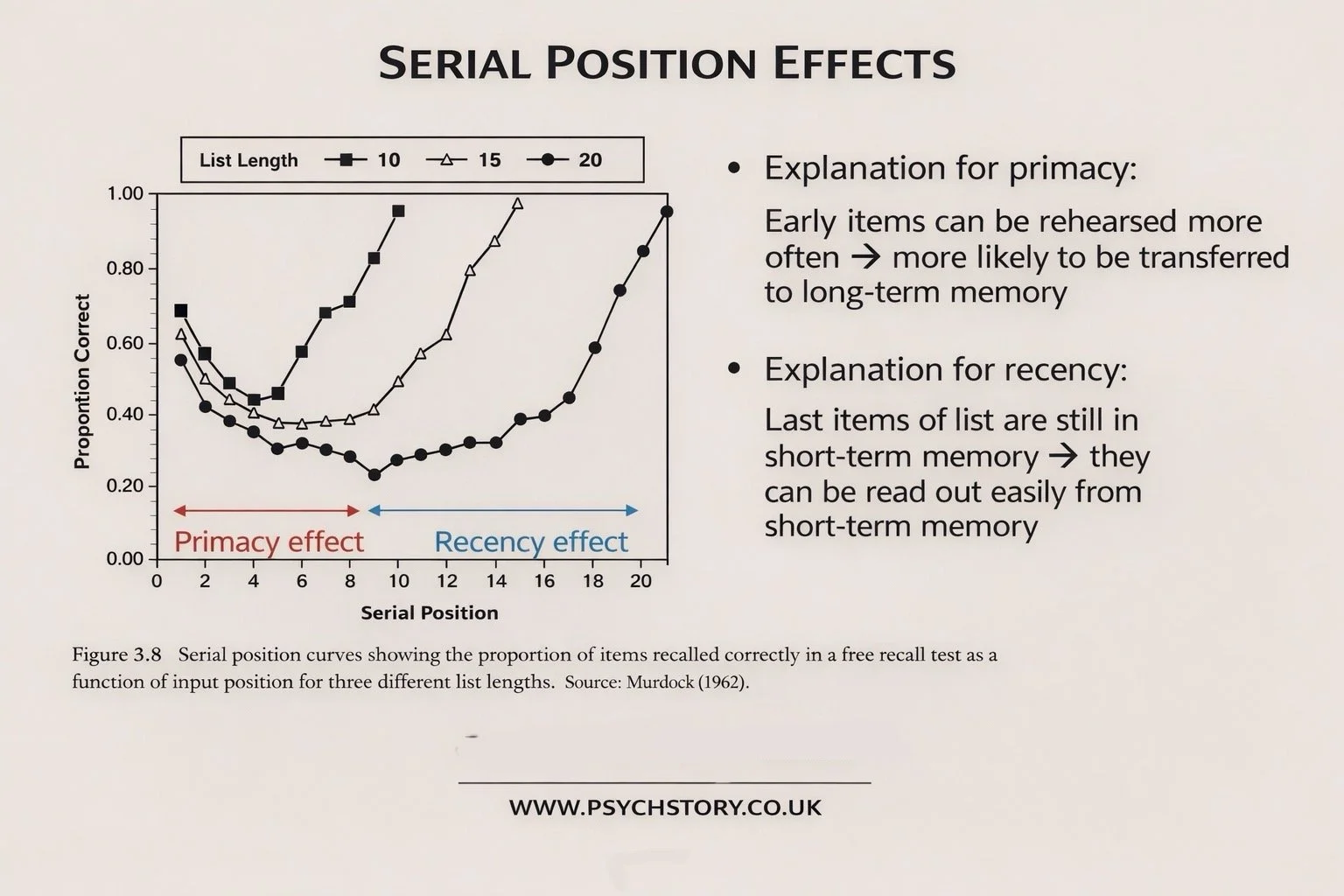 THE SERIAL POSITION EFFECT