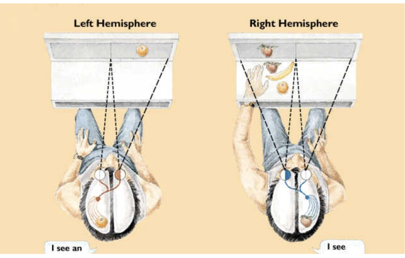 DIVIDED FIELD TECHNIQUE